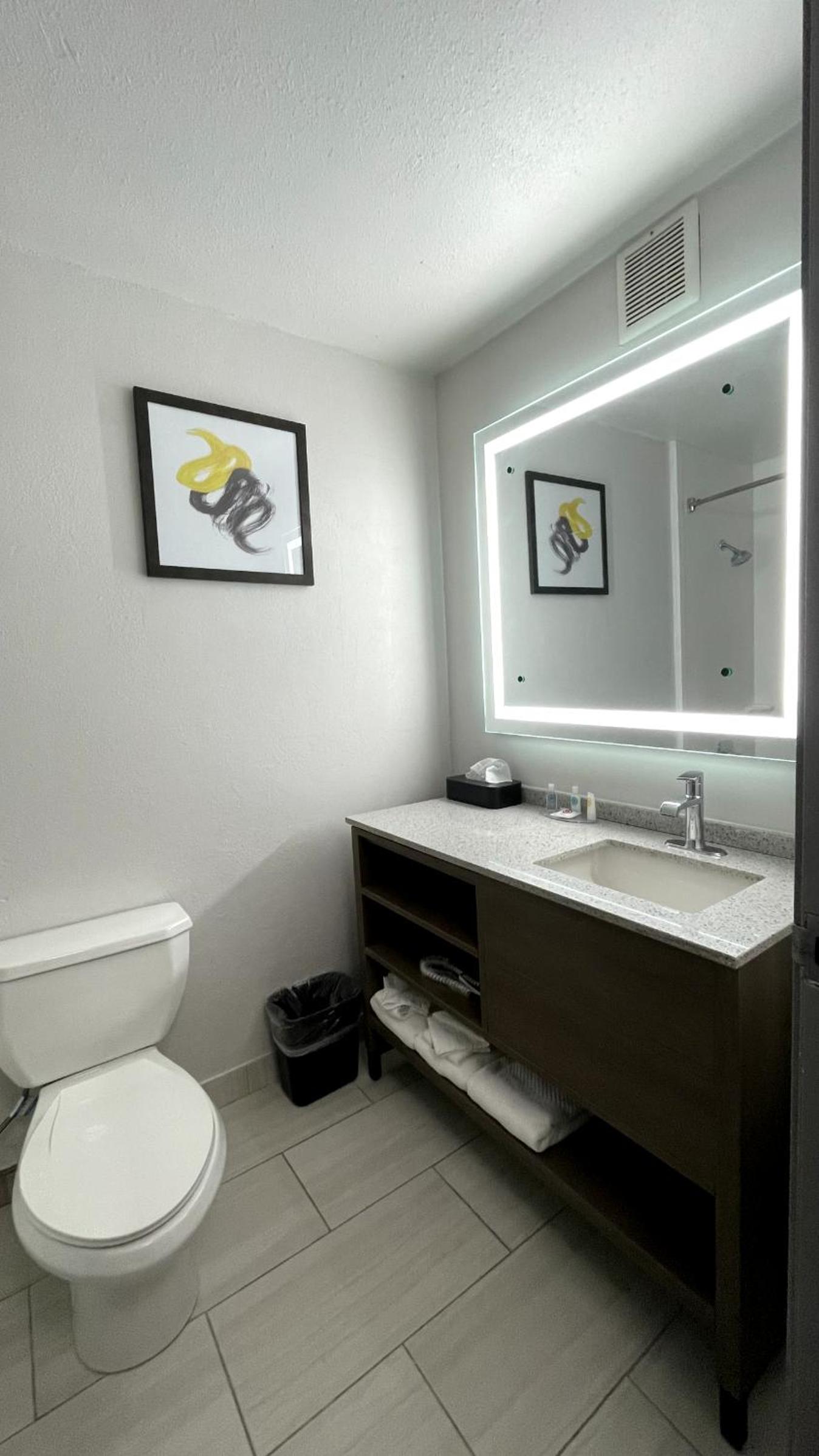 King Suite - Non-Smoking - Photo 10
