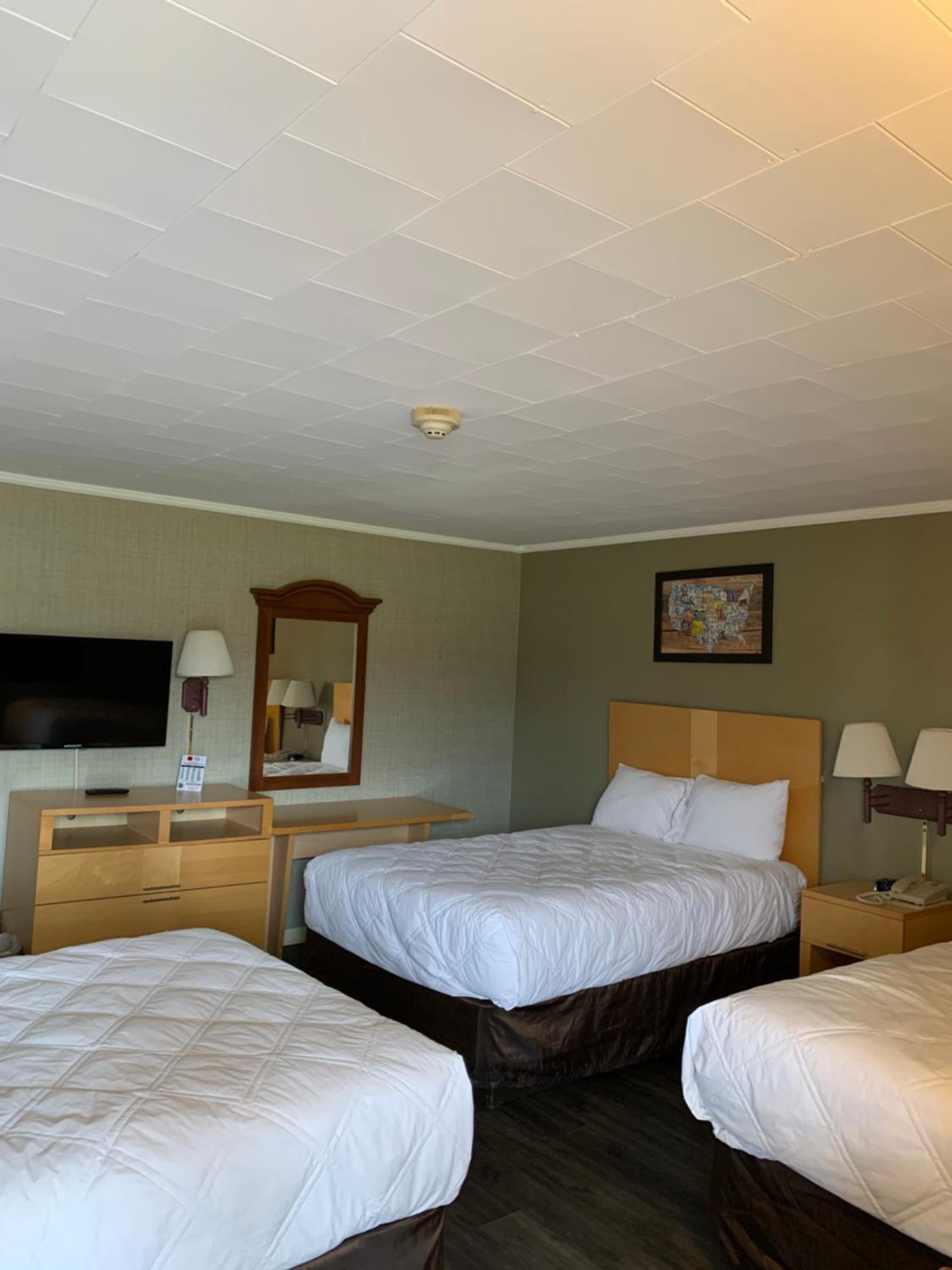 Basic Triple Room photo 1