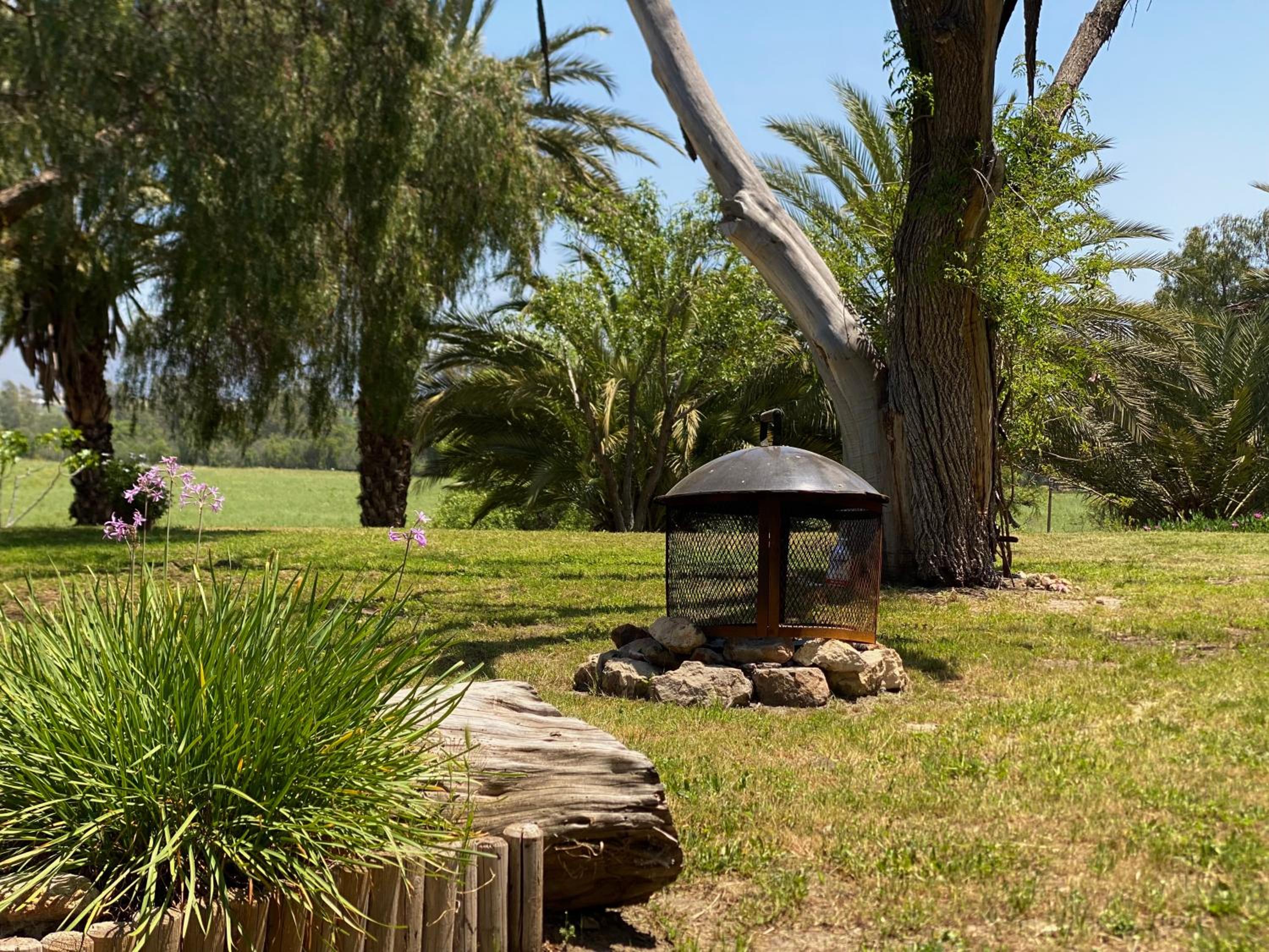 Superior Villa photo 3