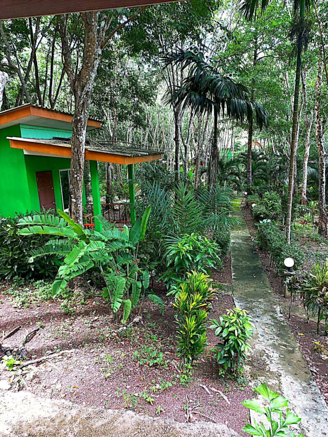 Deluxe Bungalow photo 2