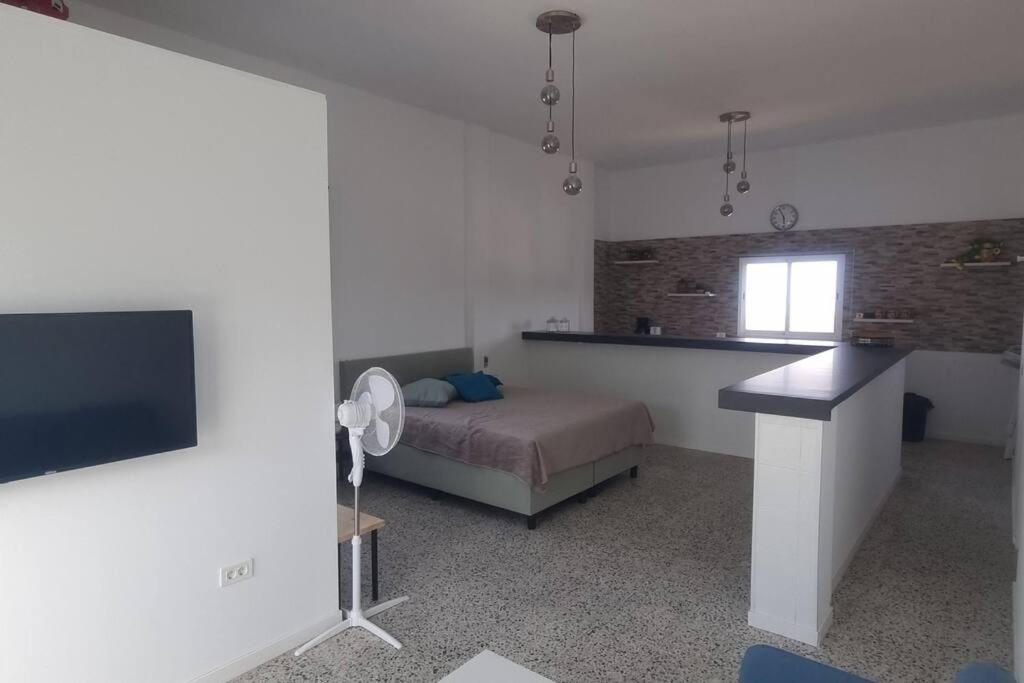 One-Bedroom Apartment photo 3