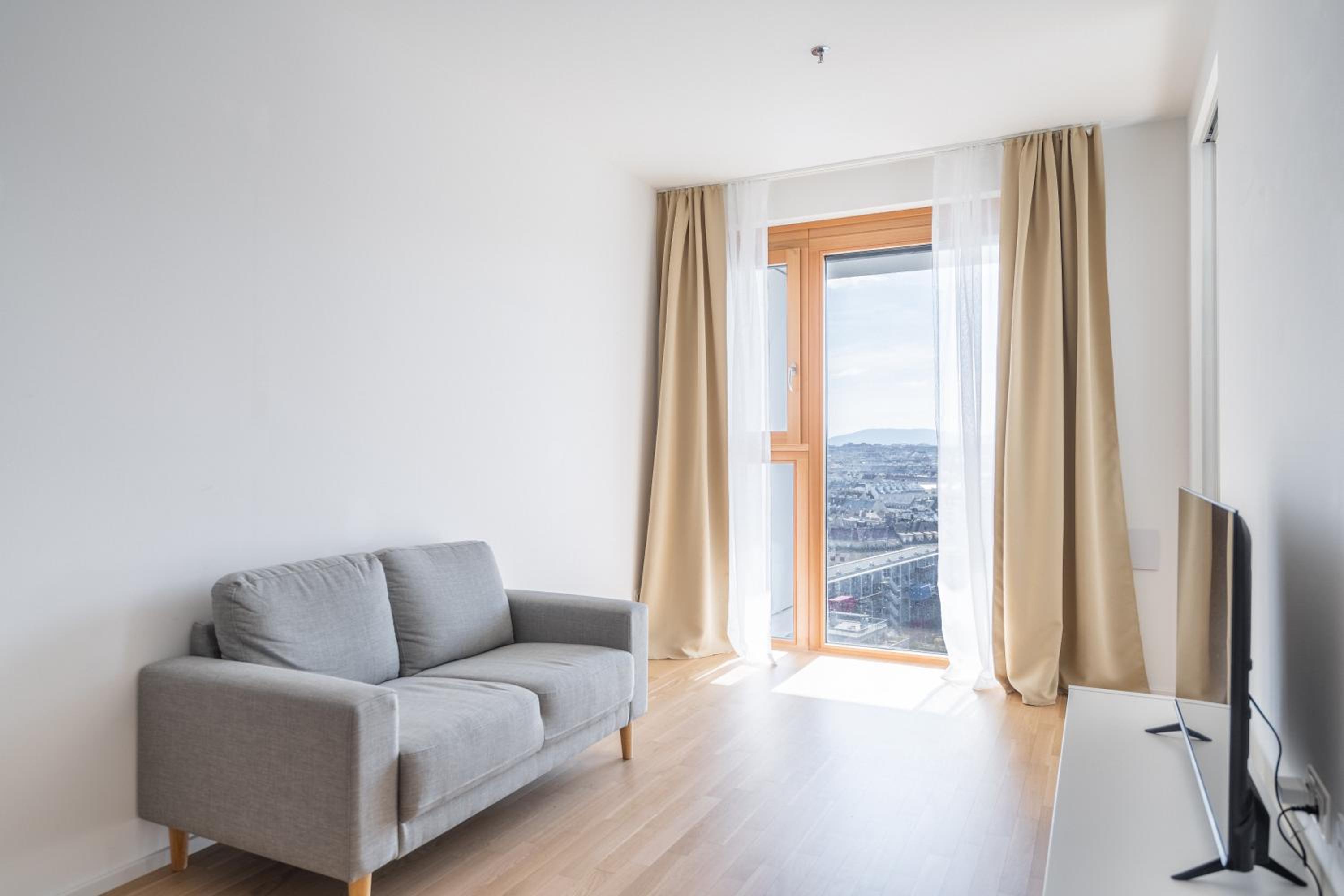 Penthouse Apartment