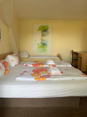 Suite - Photo 3