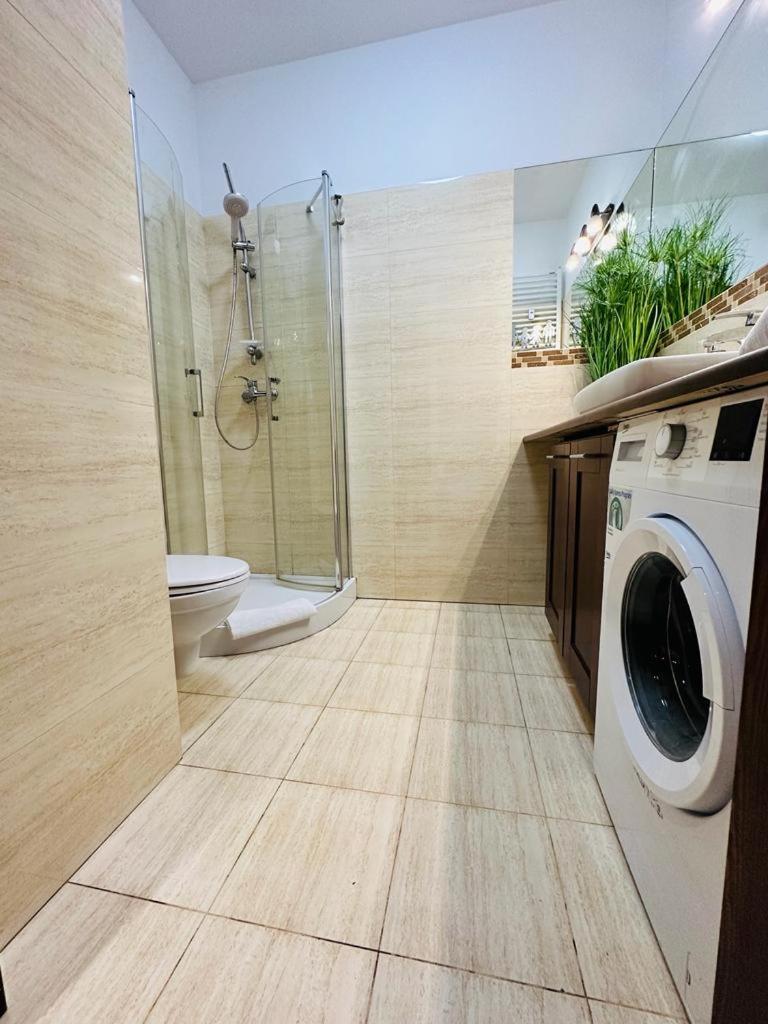 Apartment - Photo 5