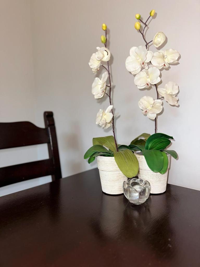 Apartment - Photo 8