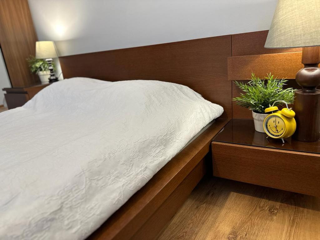 Apartment - Photo 10
