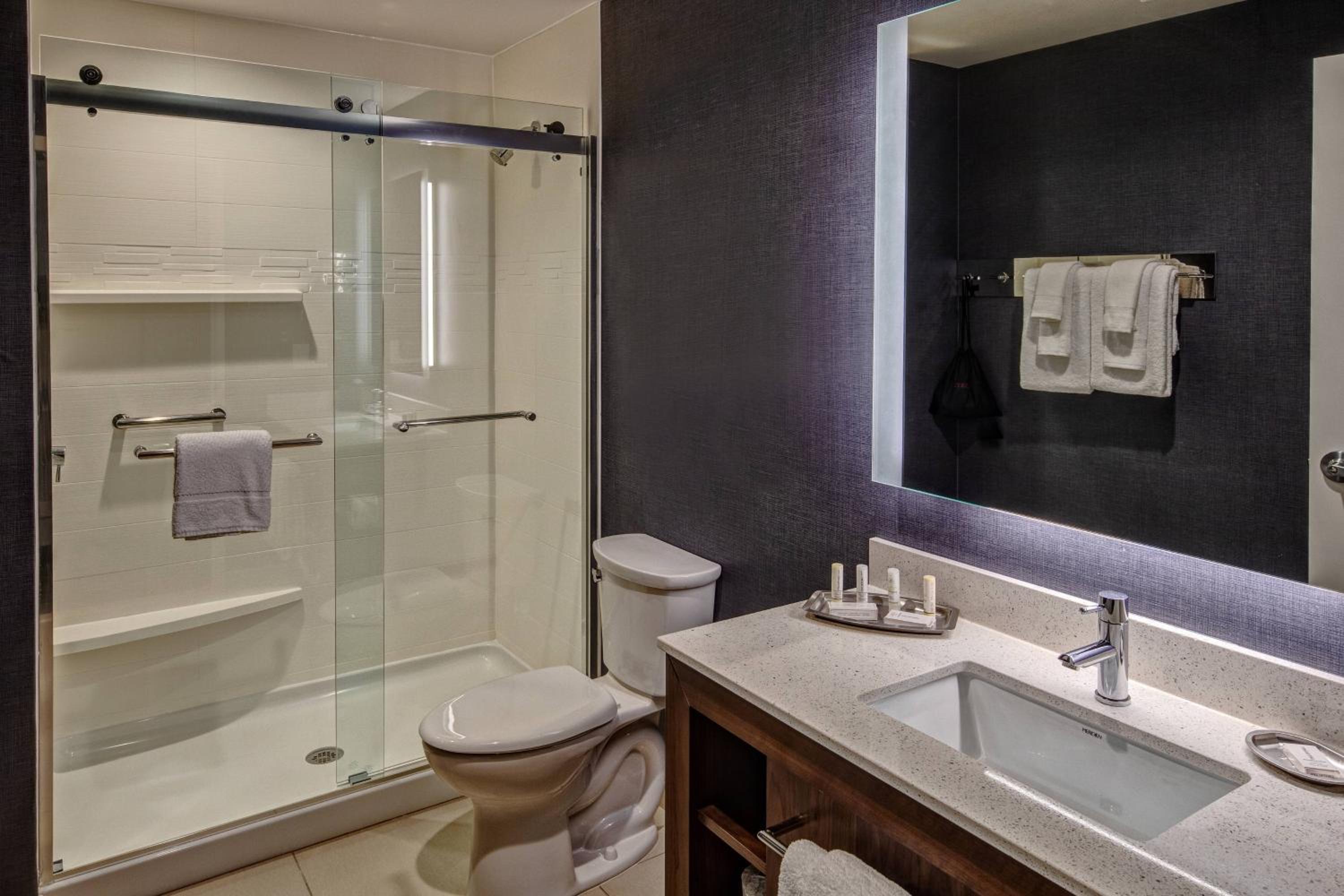 One-Bedroom King Suite with Sofa Bed
