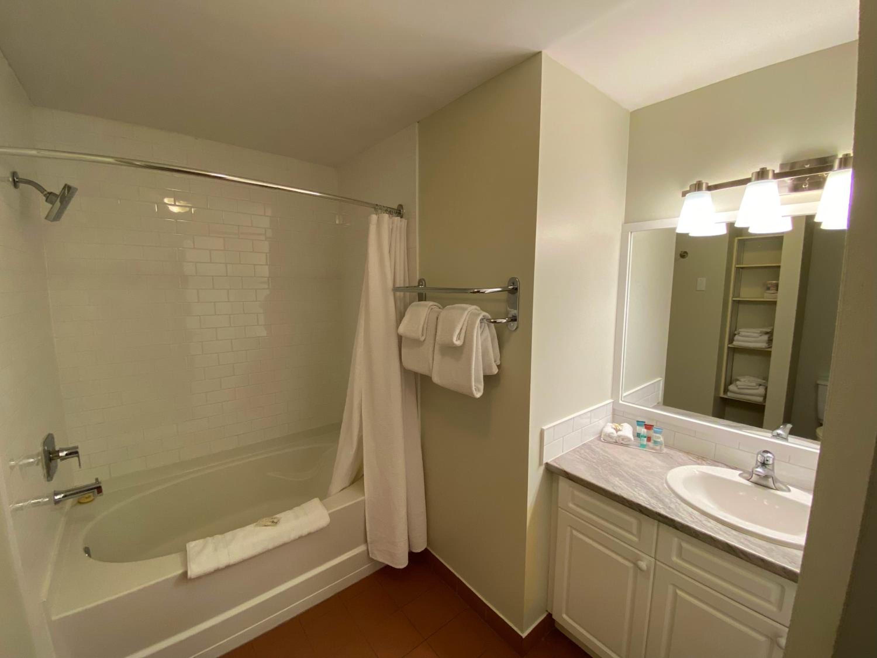 Two-Bedroom Suite - Photo 5