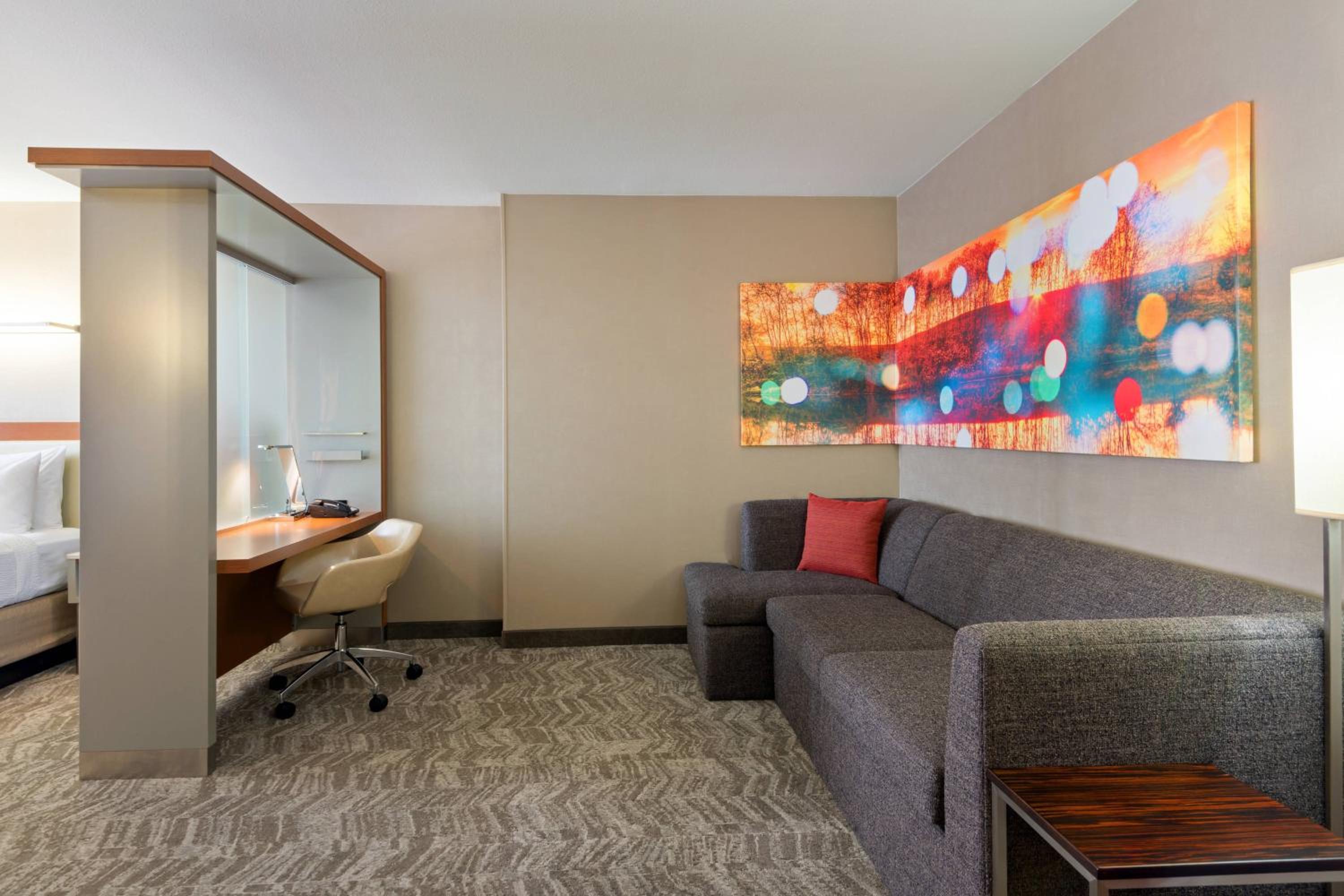 King Suite with Sofa Bed - Photo 4