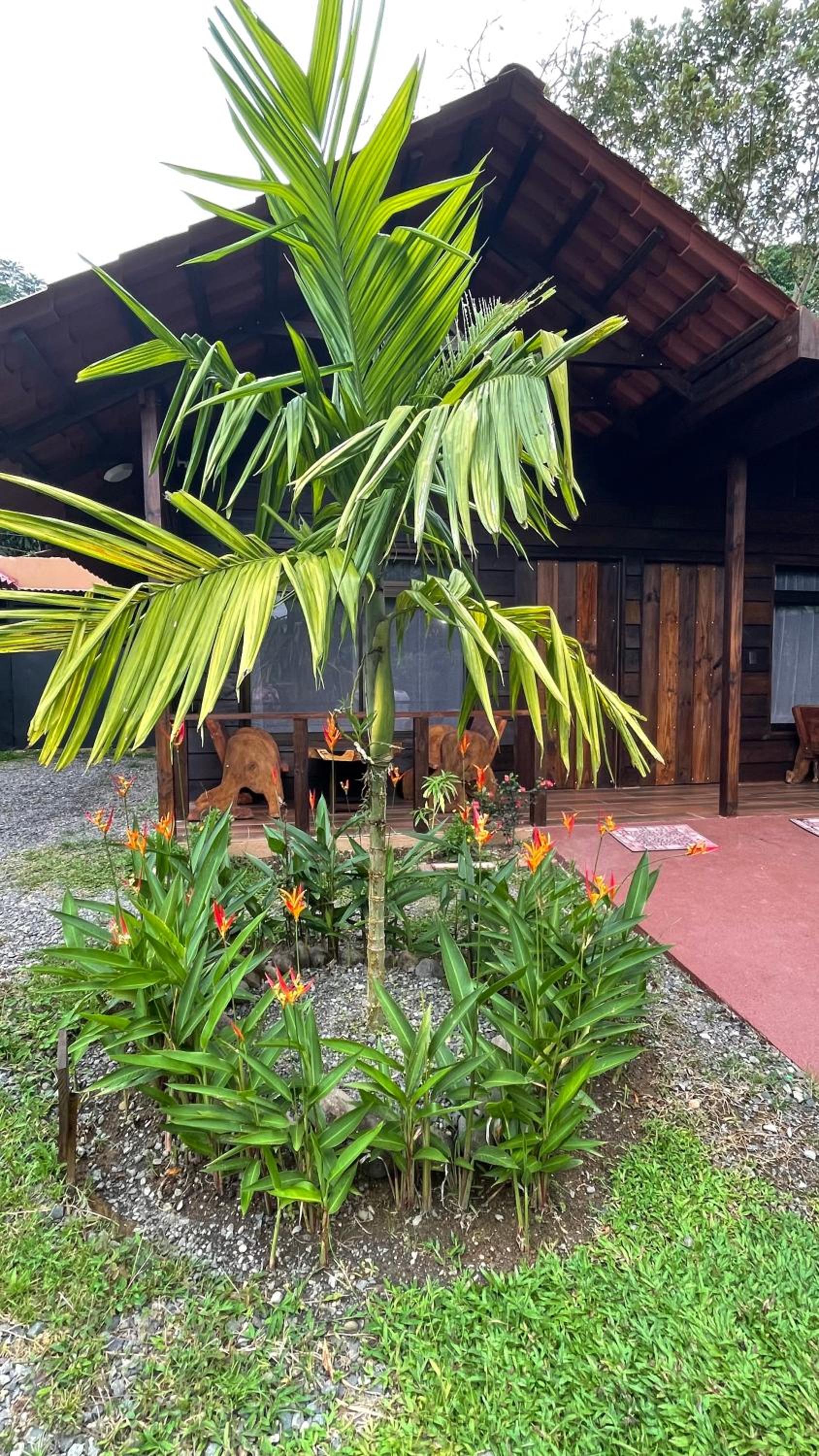 Two-Bedroom Chalet photo 2