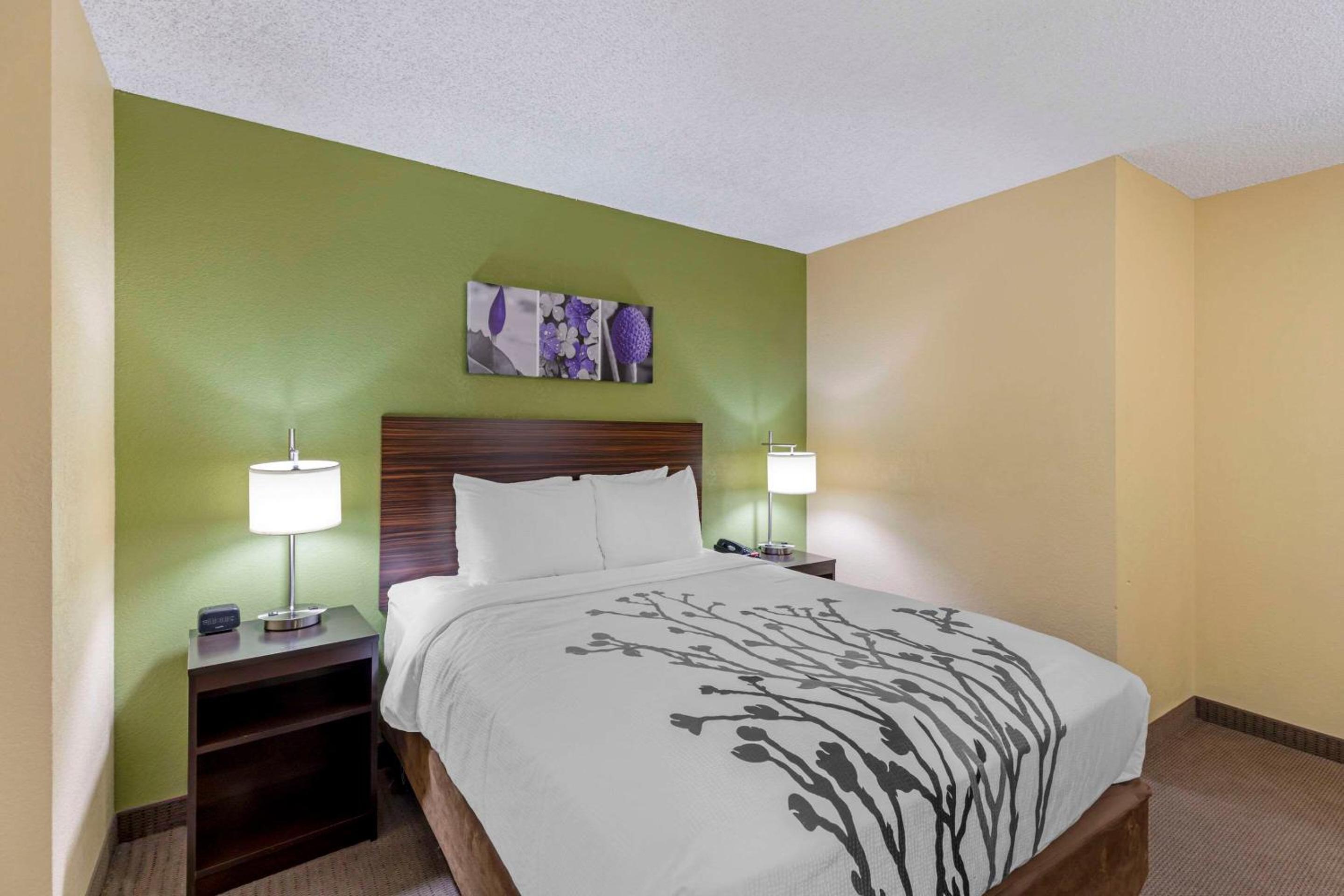 Queen Room with Roll-in-Shower - Accessible/Non Smoking - Photo 1