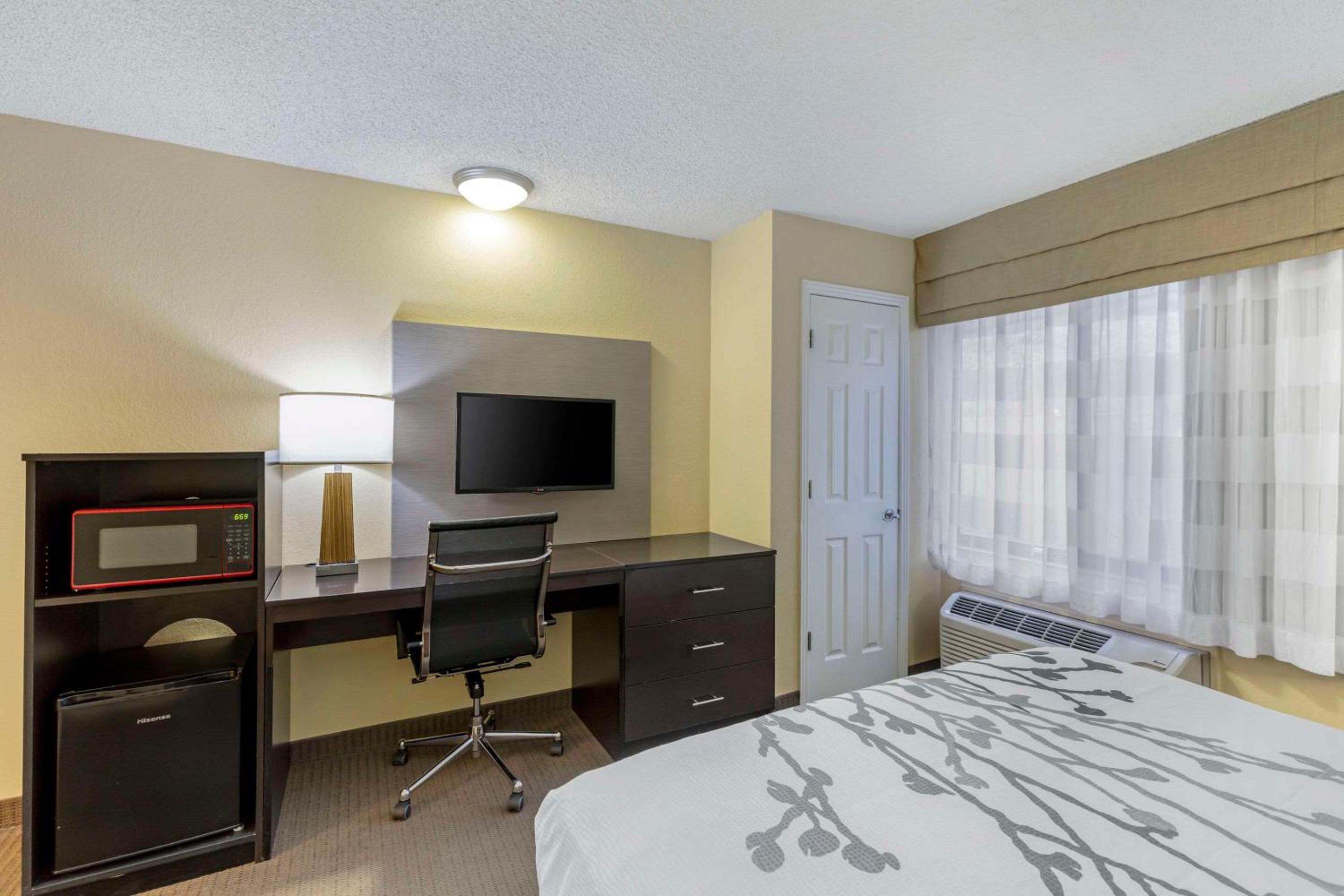 Queen Room - Photo 6