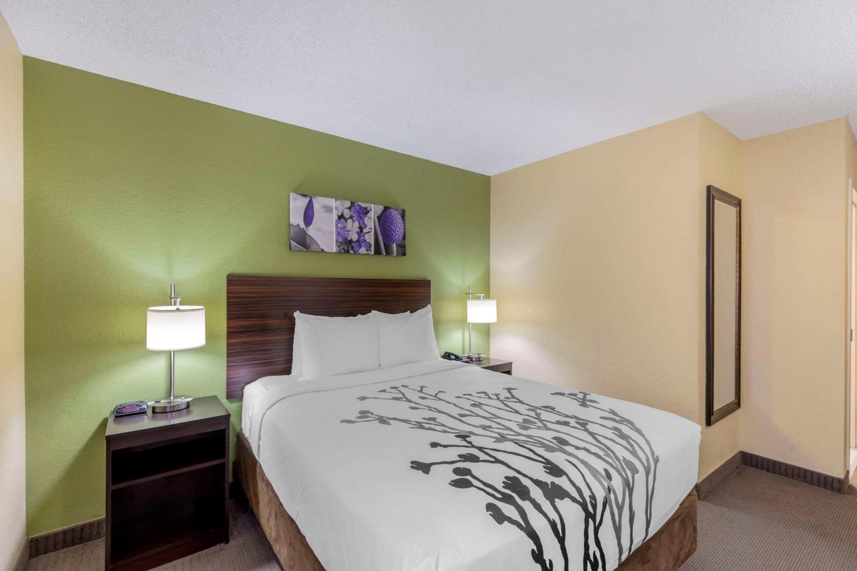Queen Room with Roll-in-Shower - Accessible/Non Smoking - Photo 8