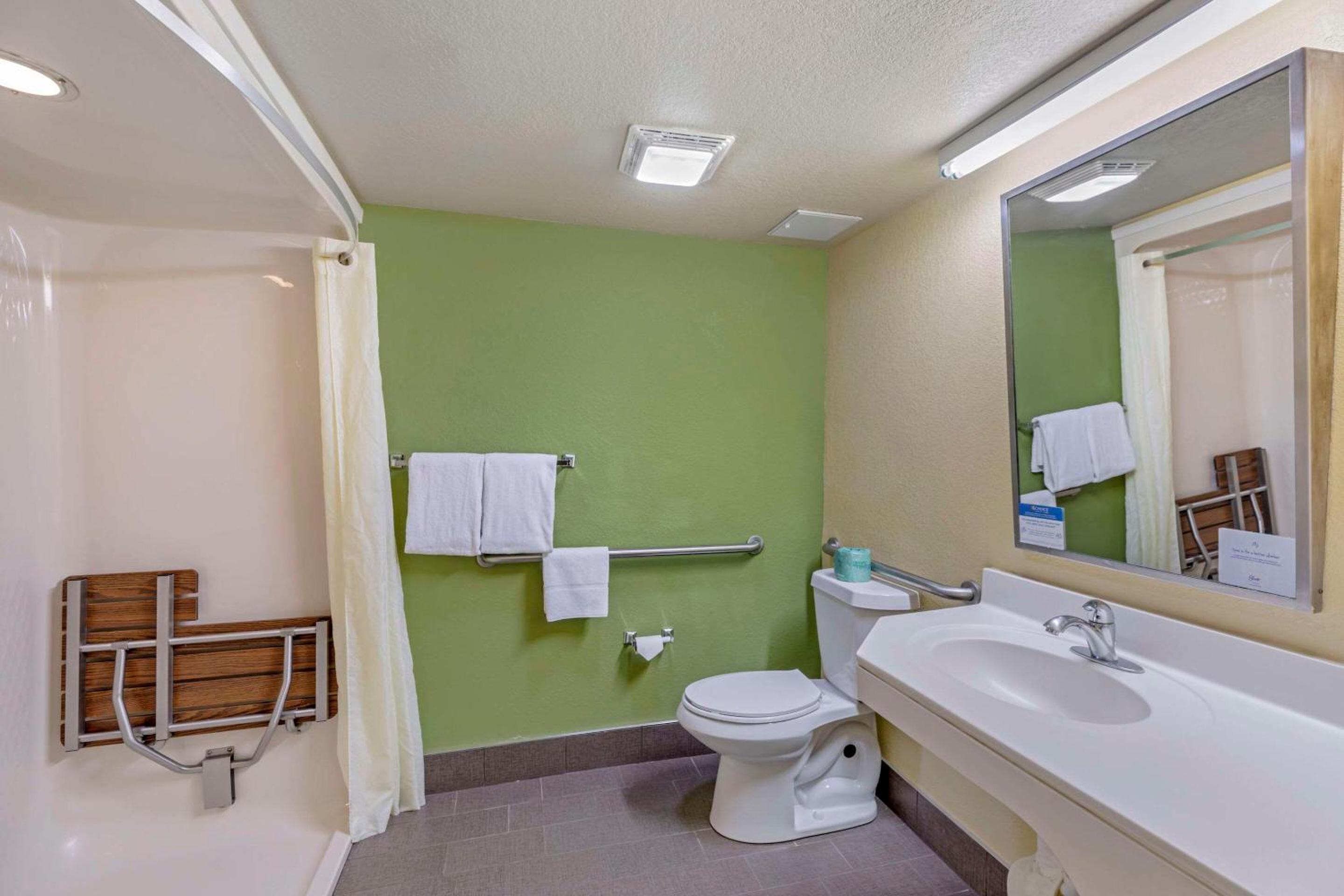 Queen Room with Roll-in-Shower - Accessible/Non Smoking - Photo 6