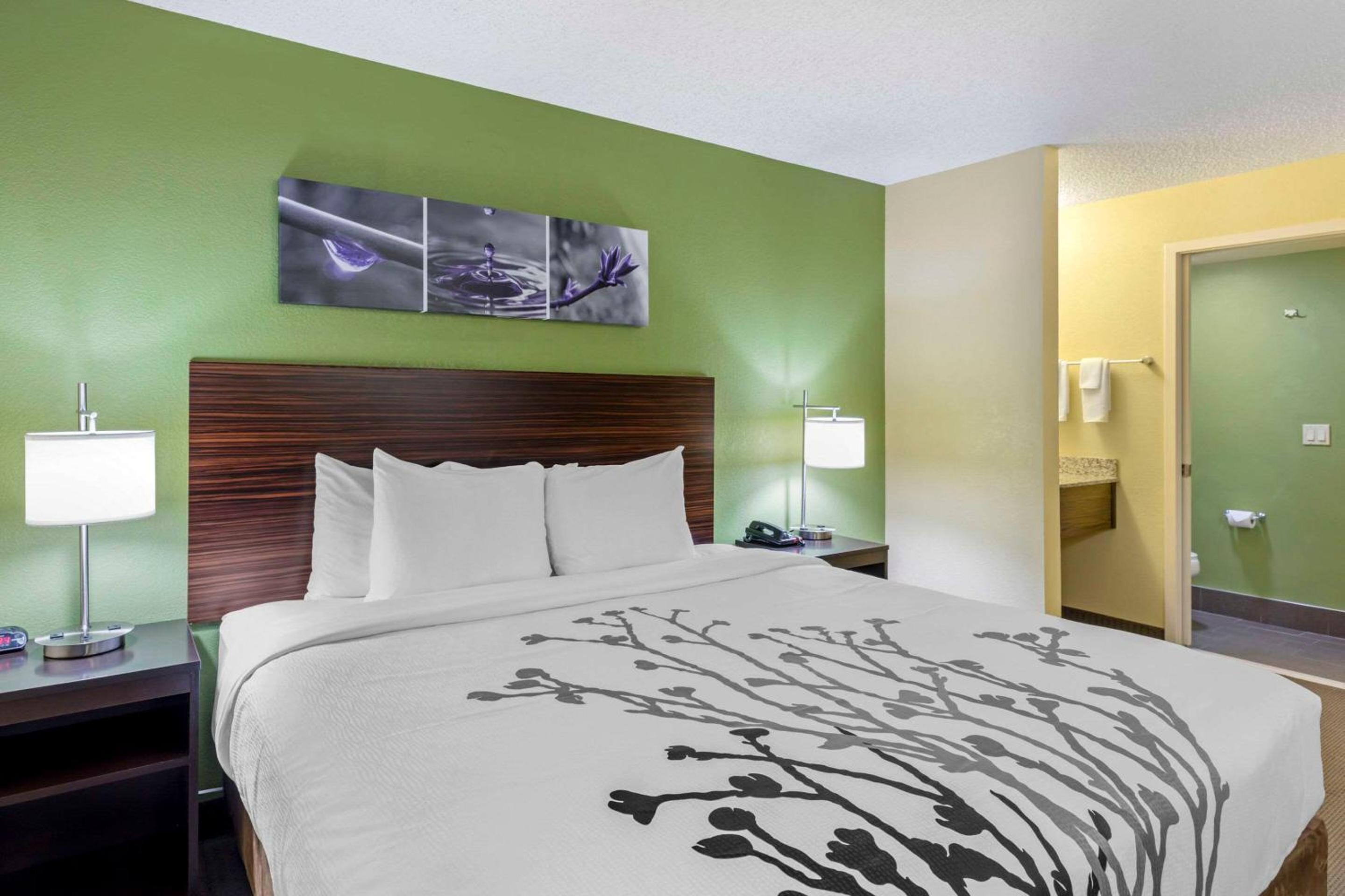 King Room - Photo 1