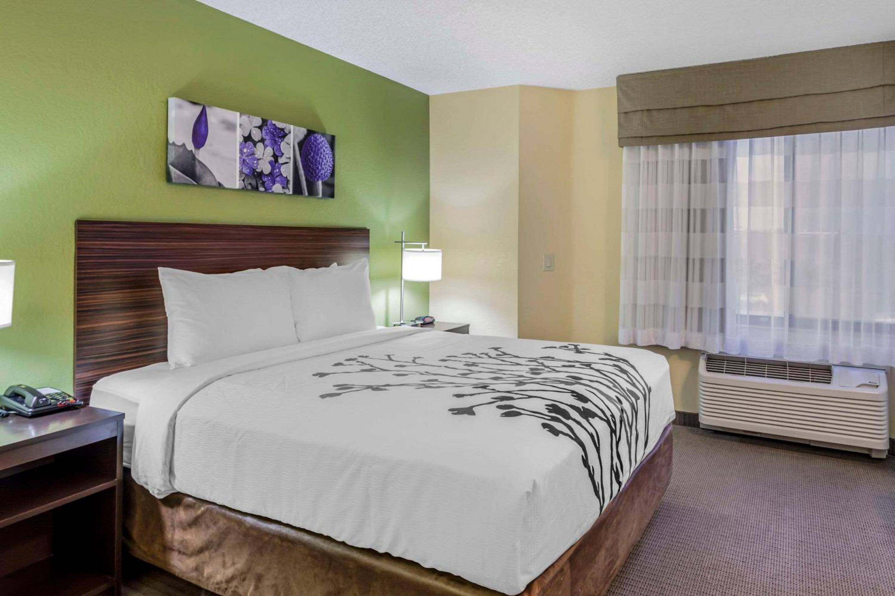 King Room - Photo 4