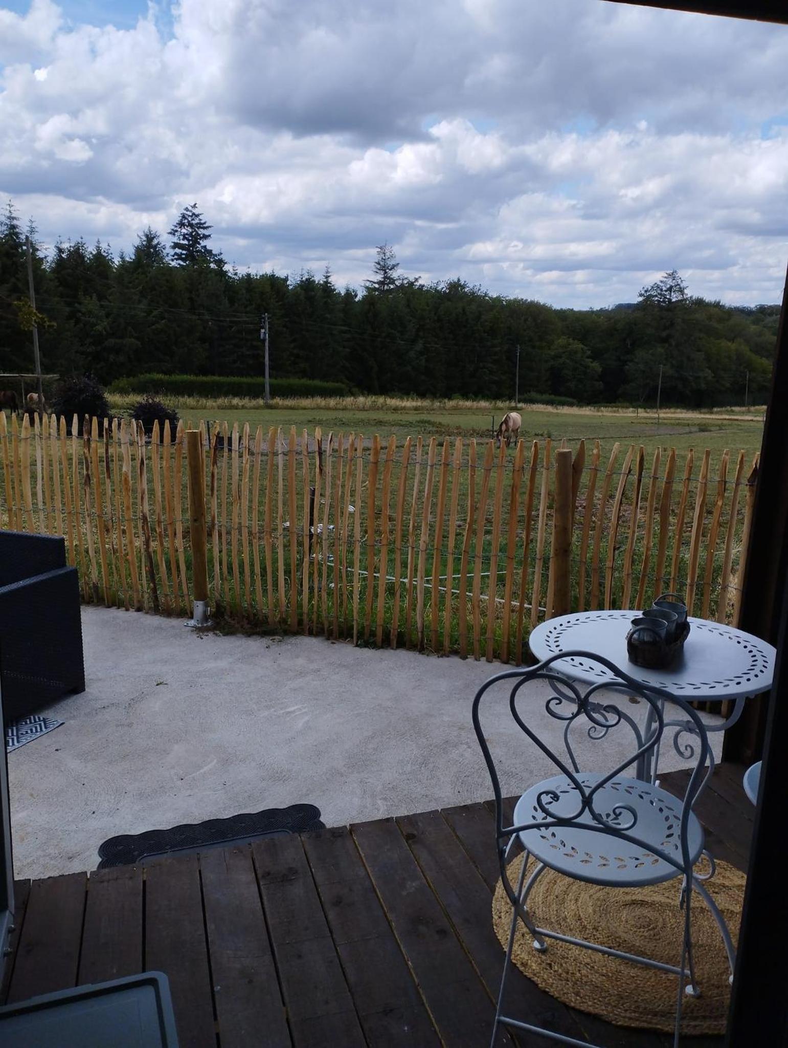 Double Room with Terrace photo 3