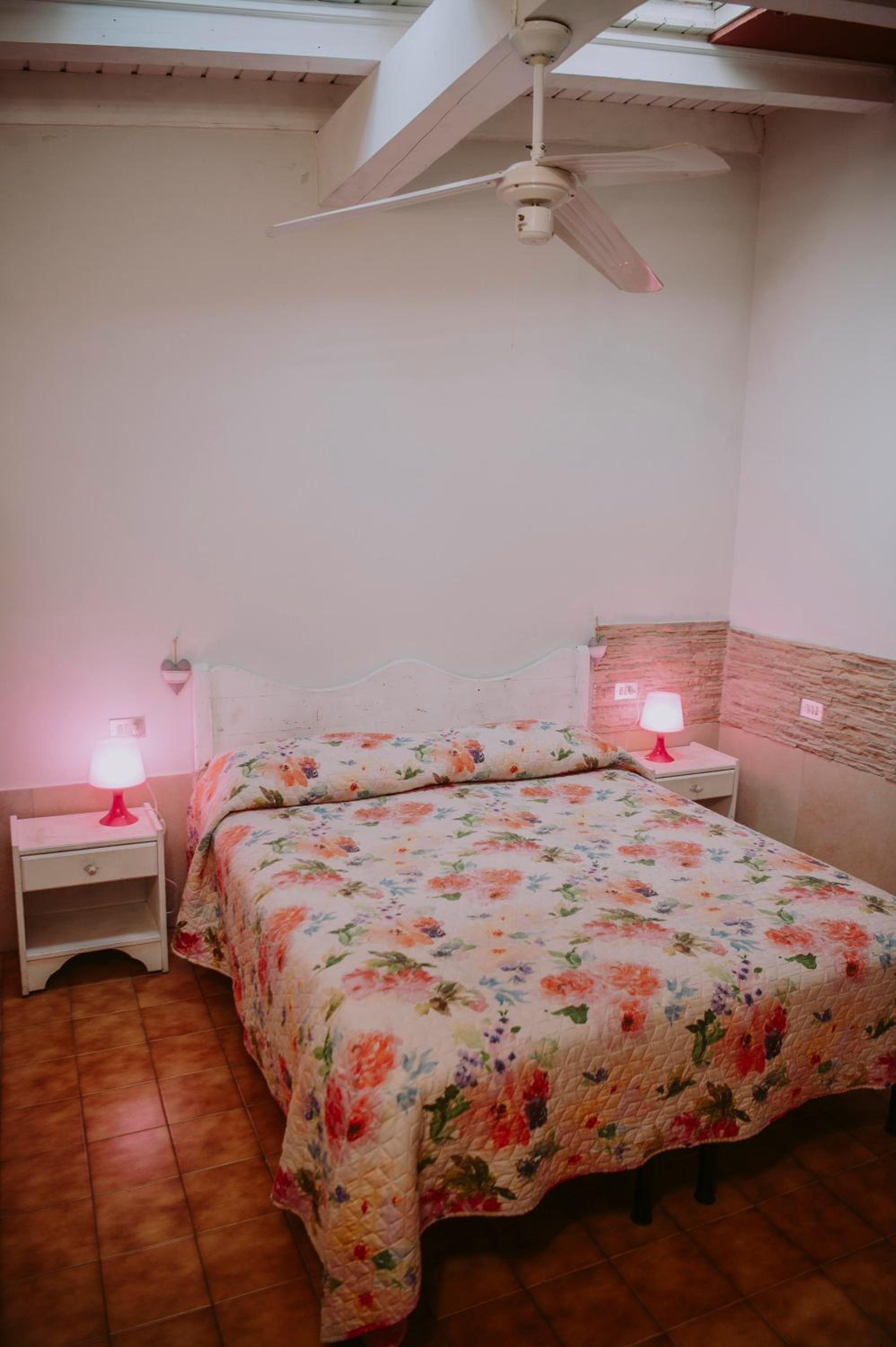 Apartment with Terrace photo 2