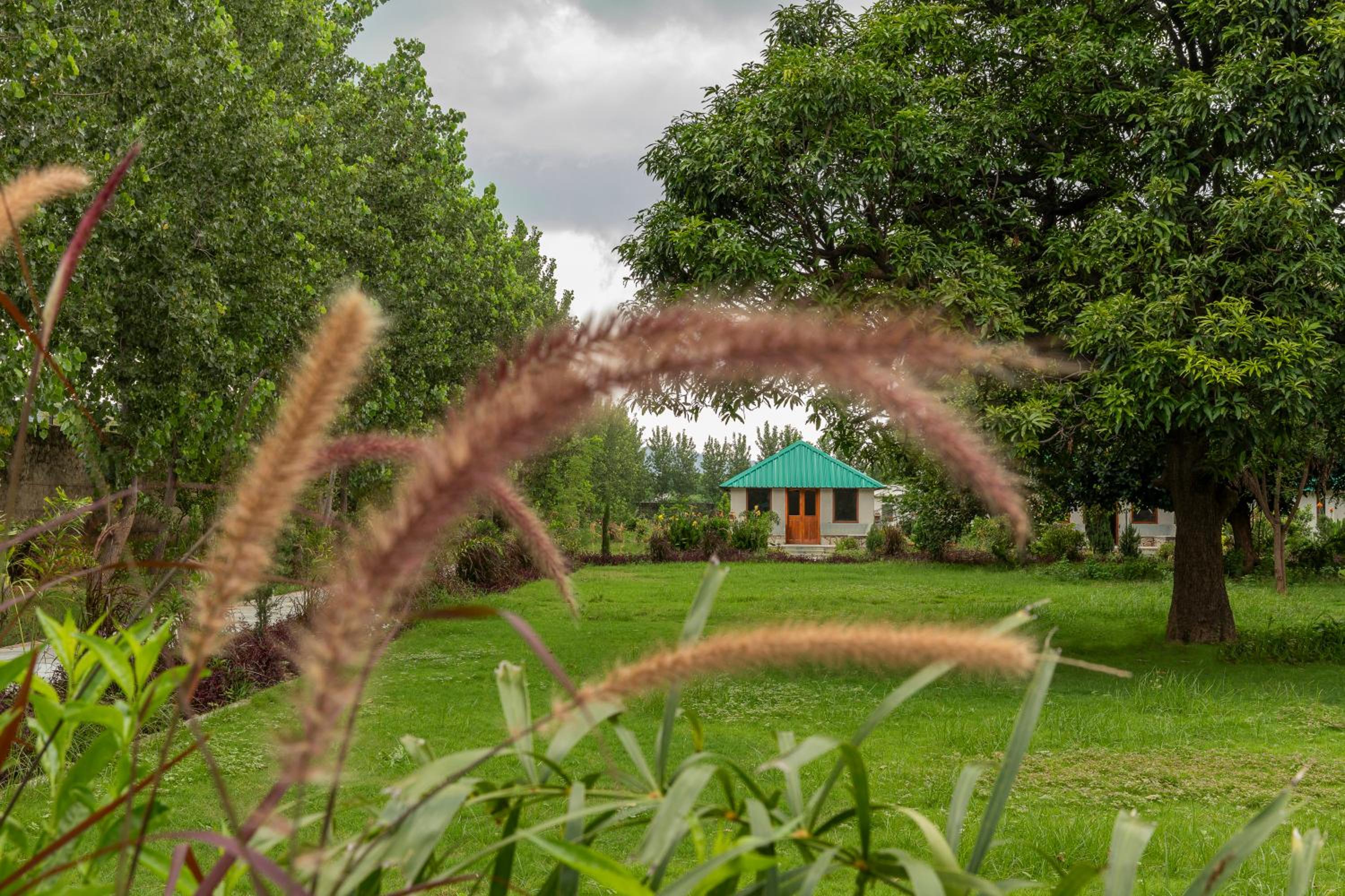 Luxury Tiger Cottage With Private Garden - Complimentary Welcome drink on arrival photo 2
