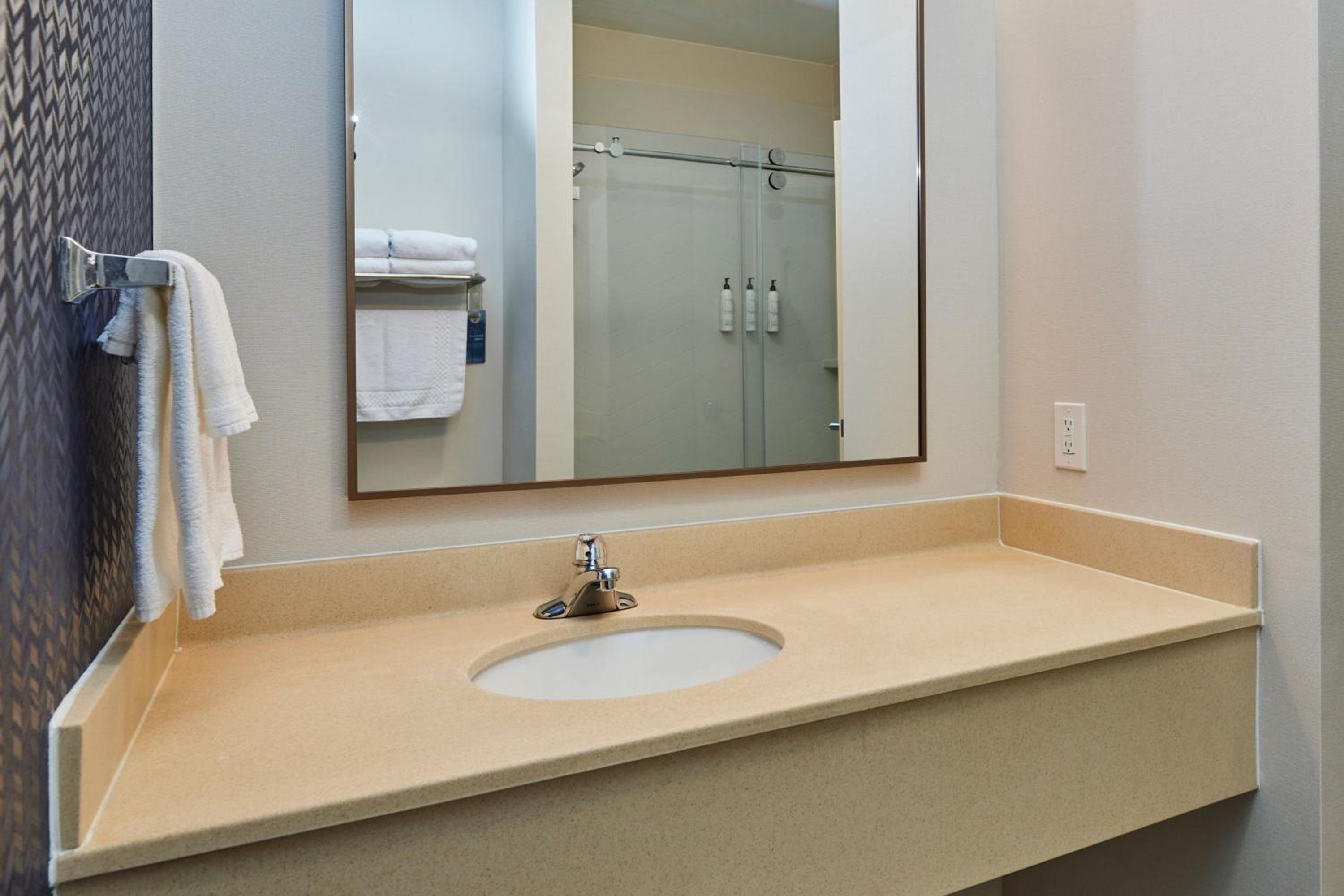 King Room with Roll-in Shower - Mobility and Hearing Accessible - Photo 3