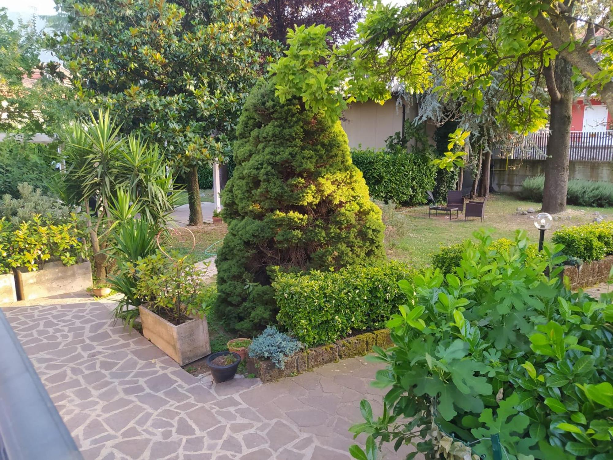 Double Room With Garden View photo 2