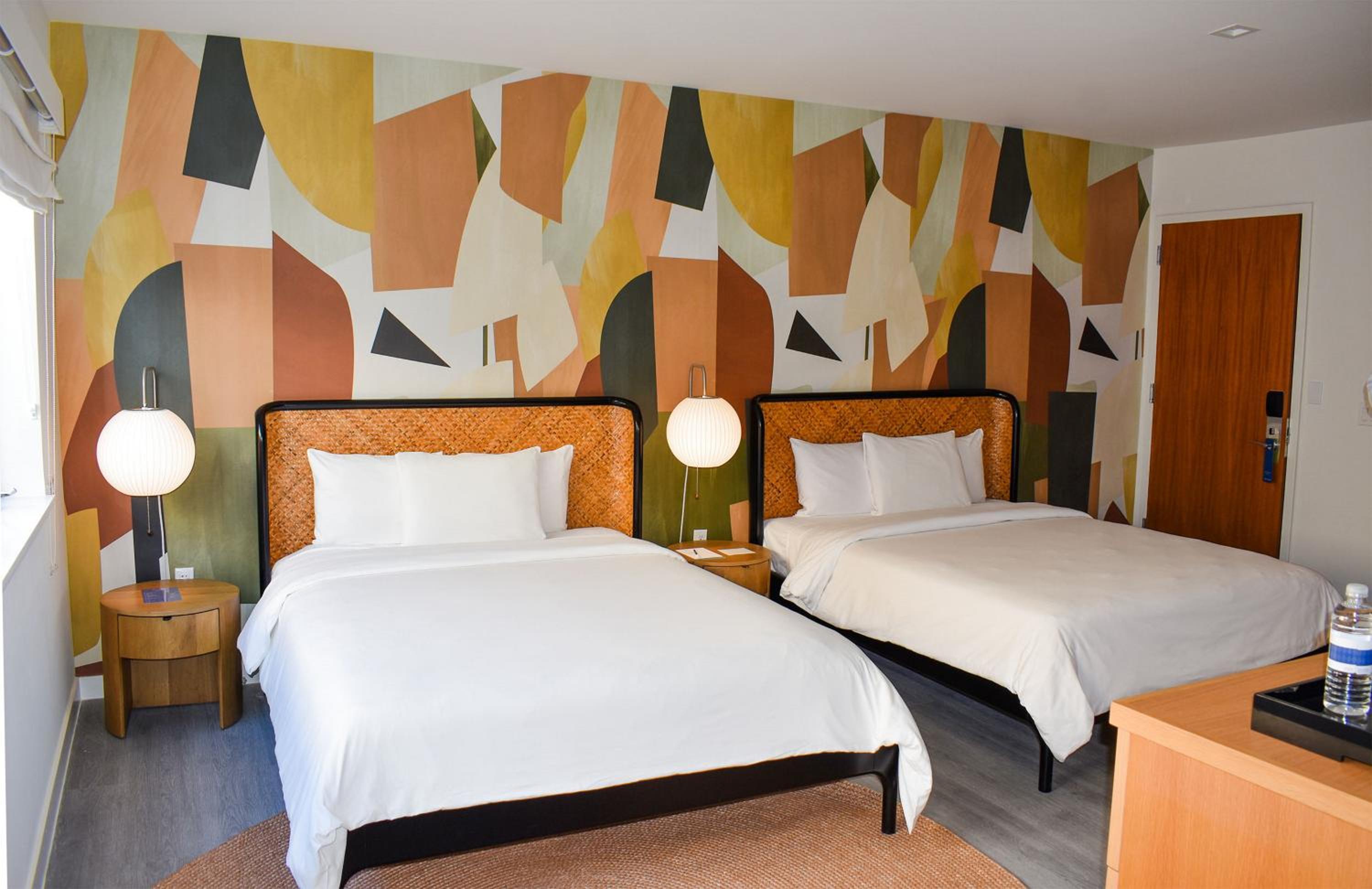 Suite - Photo 1