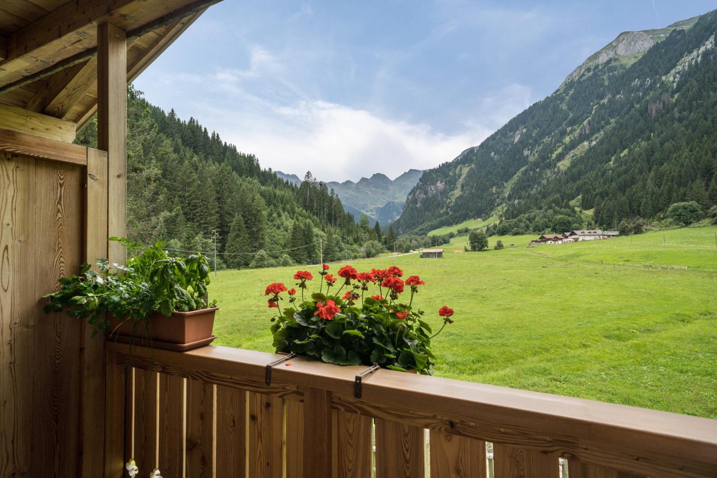 Superior One-Bedroom Apartment with Balcony photo 3
