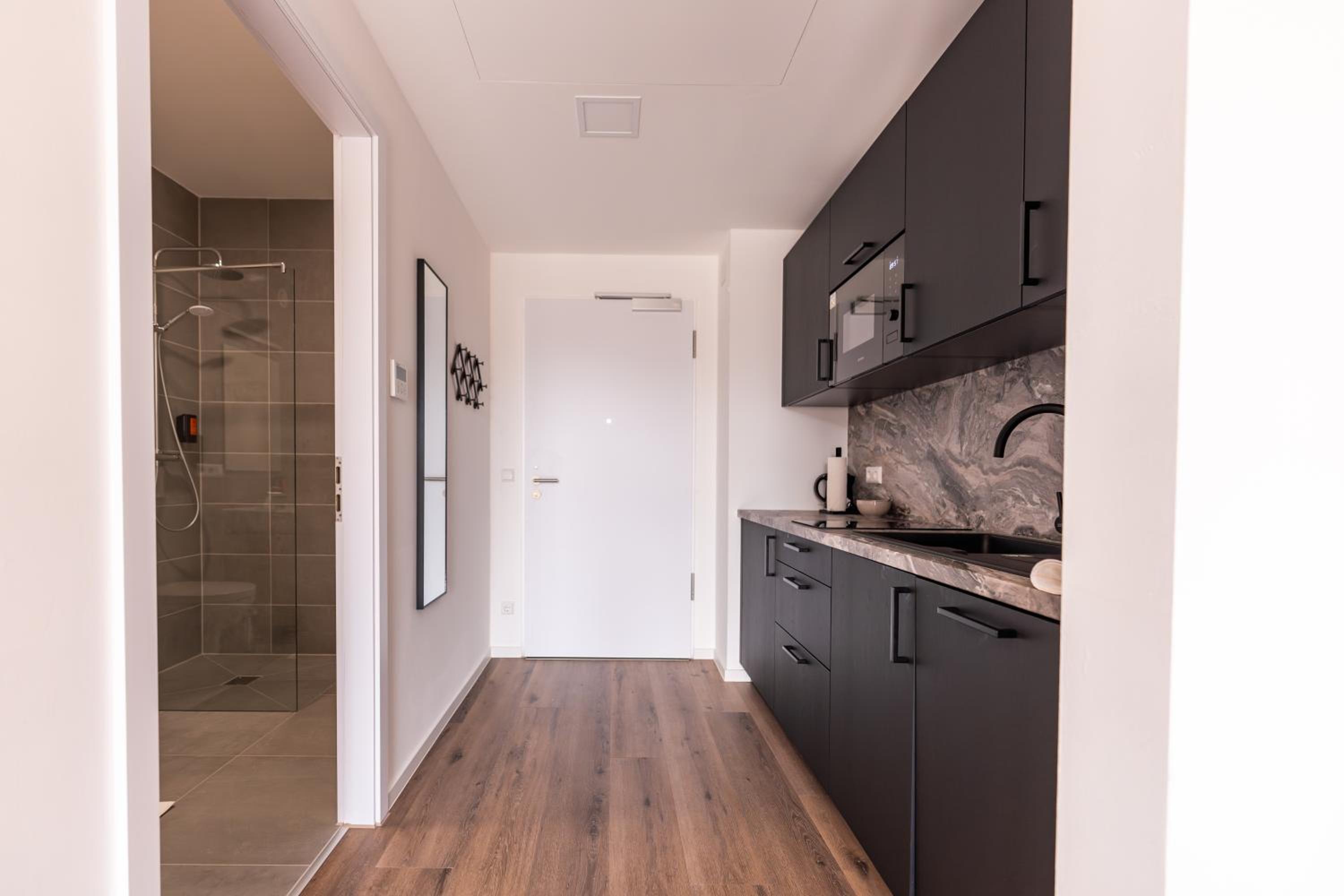 Studio Apartment photo 3