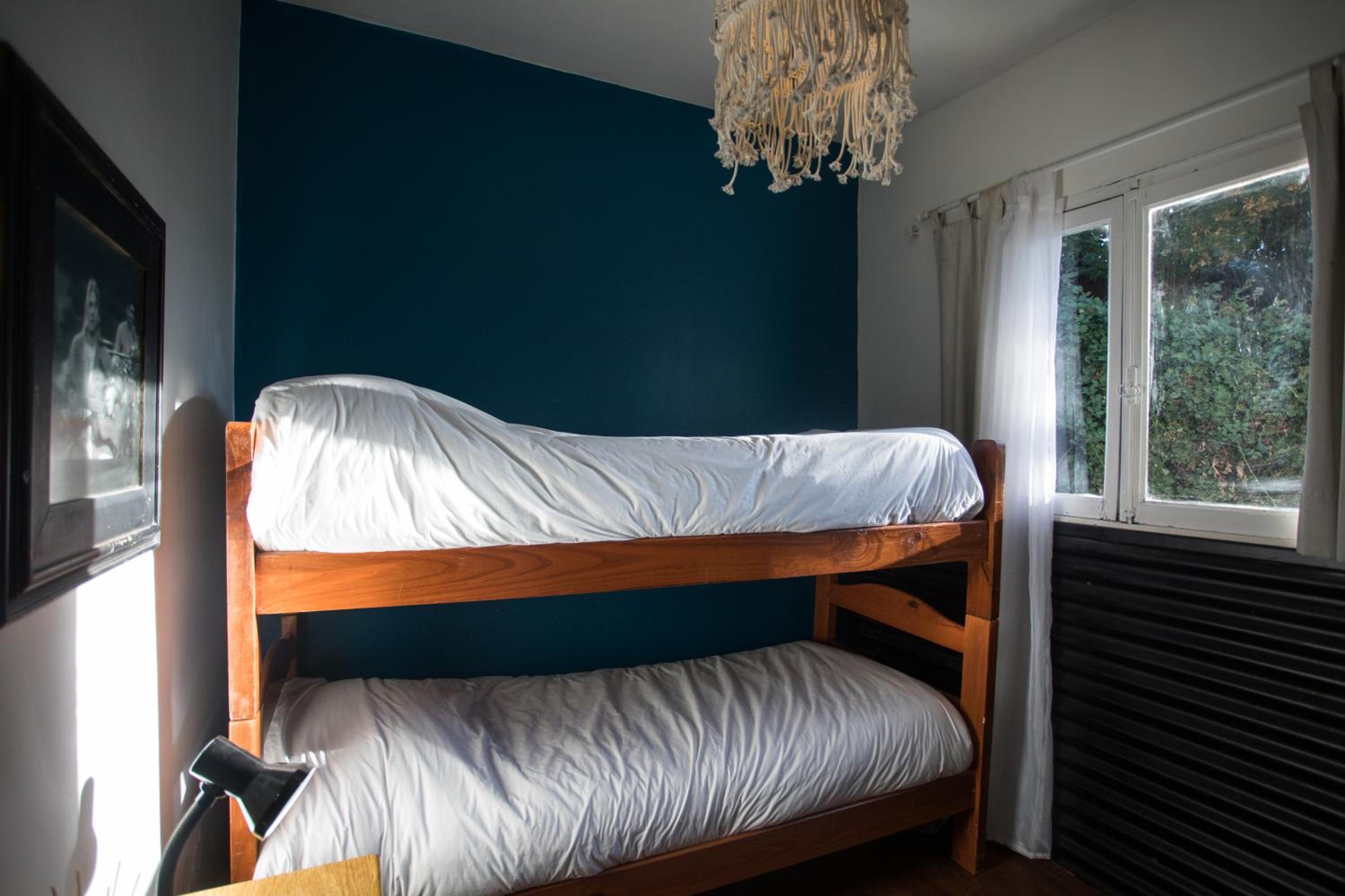 Bunk Bed in Mixed Dormitory Room photo 1