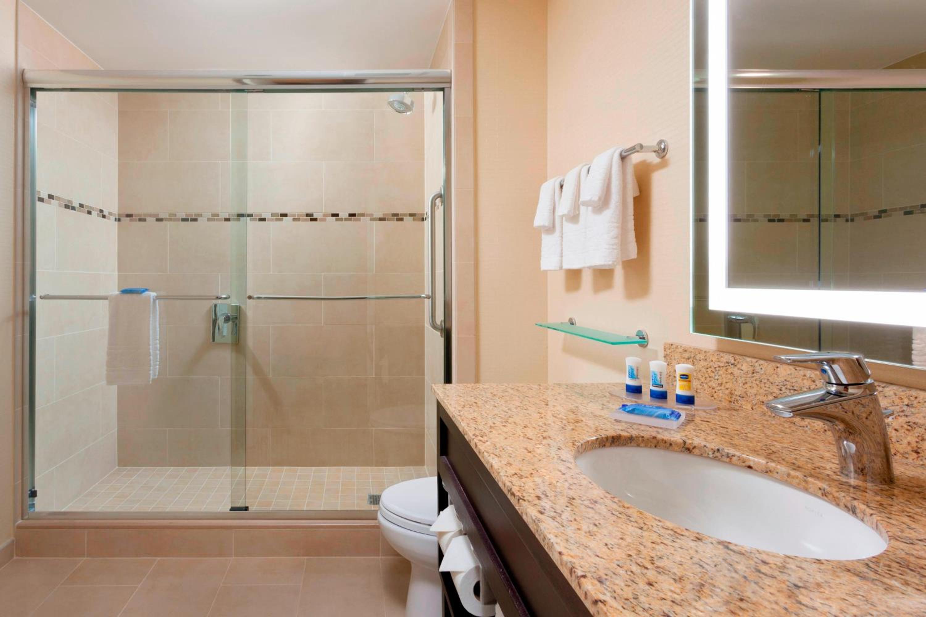 One-Bedroom King Suite with Roll-In Shower, Transfer Shower and Sofa Bed - Mobility Access/Hearing Accessible thumbnail 6