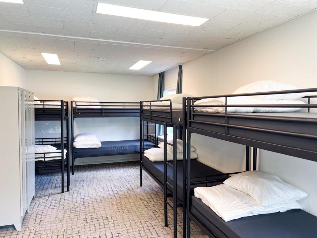 Mixed Dormitory Room photo 2