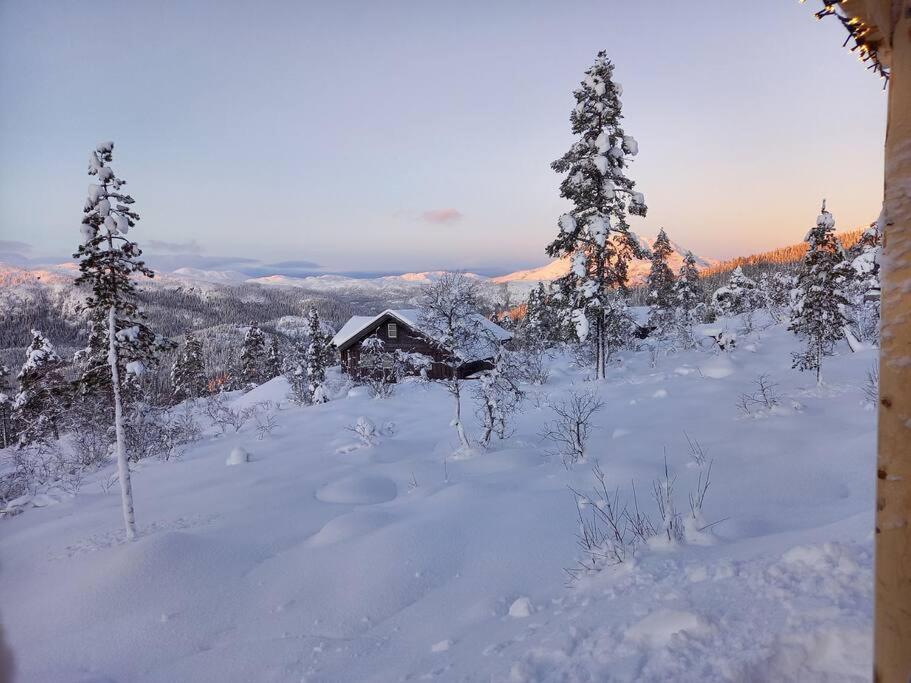 Three-Bedroom Chalet photo 3
