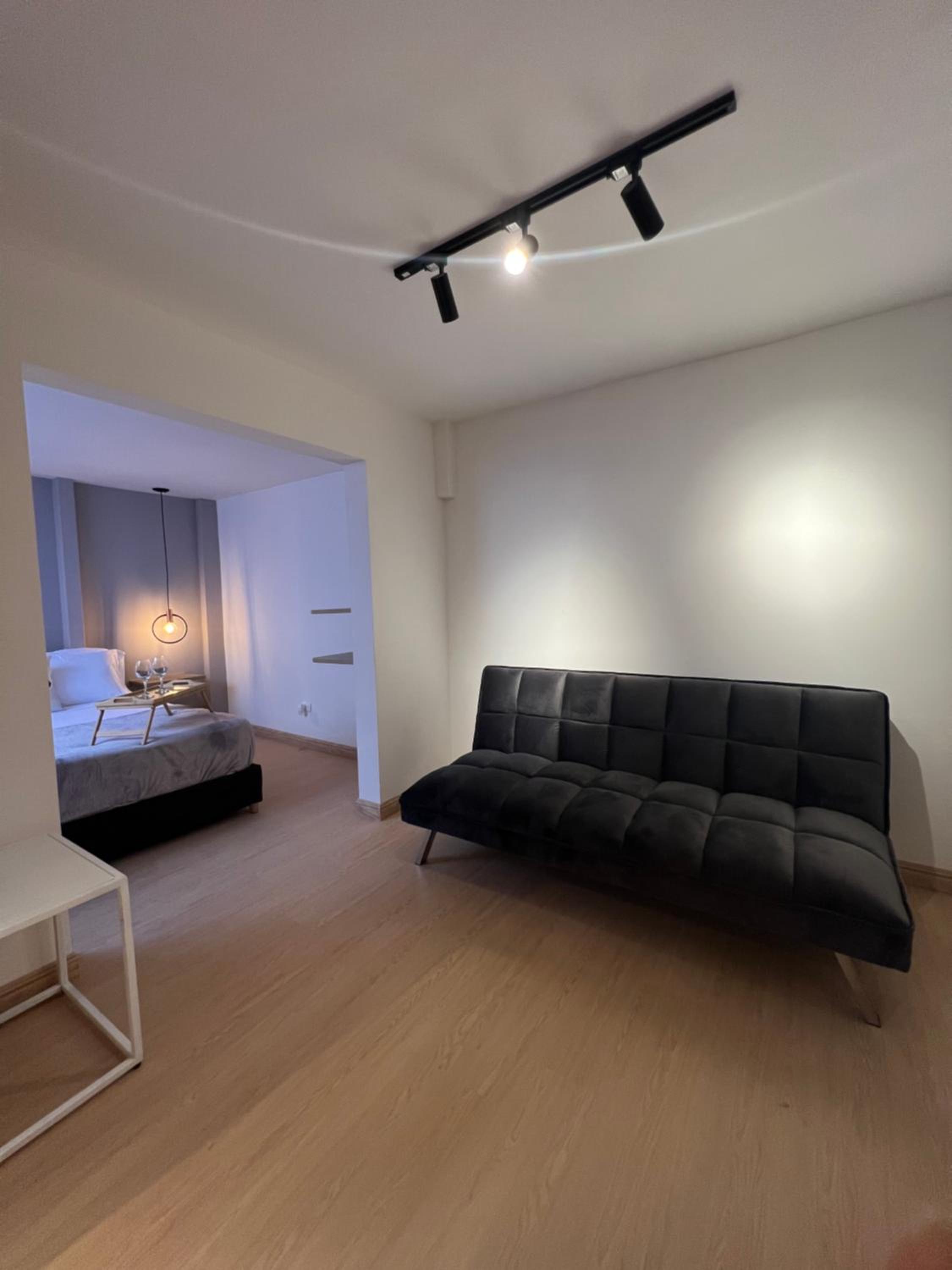 One-Bedroom Apartment photo 3