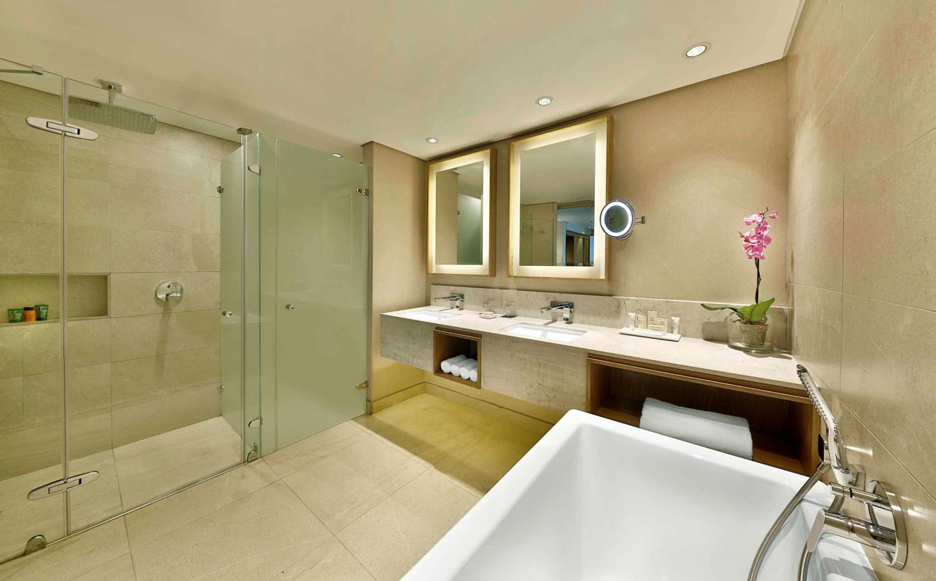 Ambassador Suite - Photo 4