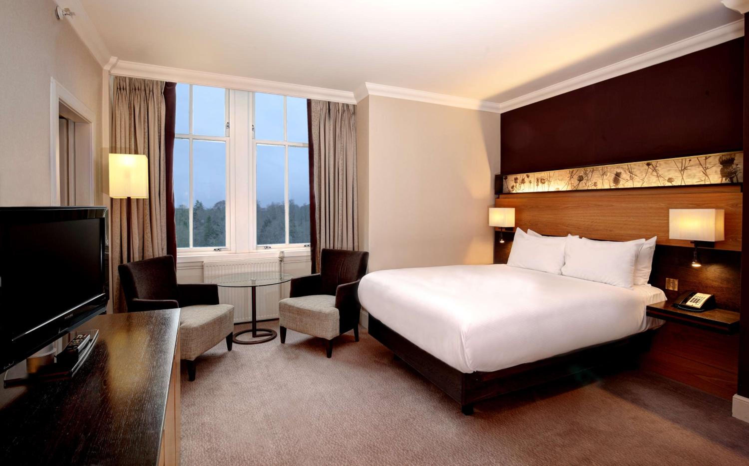 Executive Double Room - Photo 4
