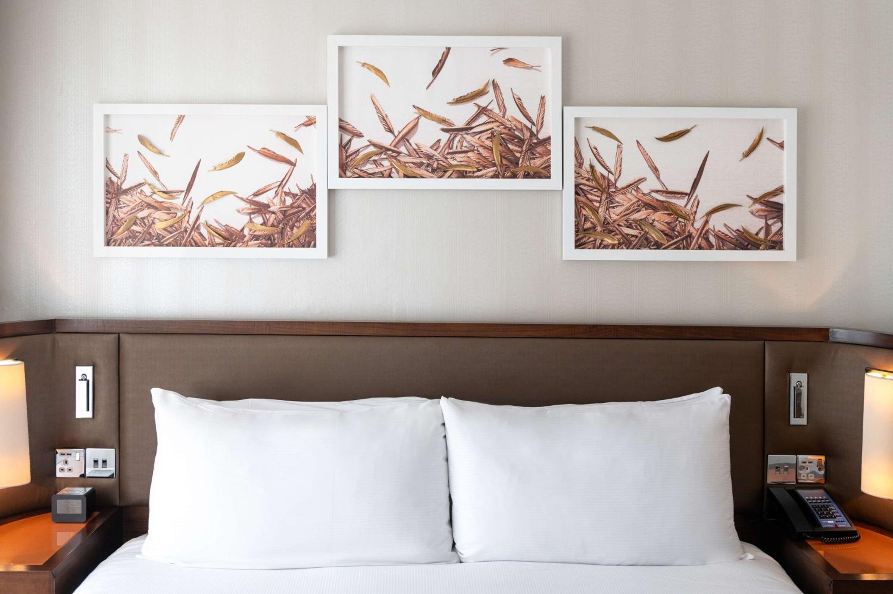 Queen Room with View photo 2