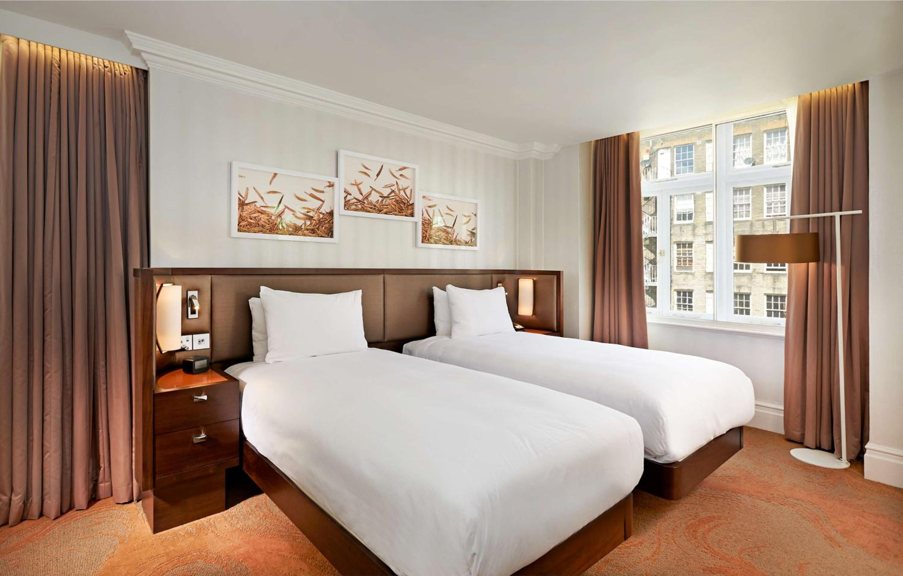 Deluxe King Room photo 1