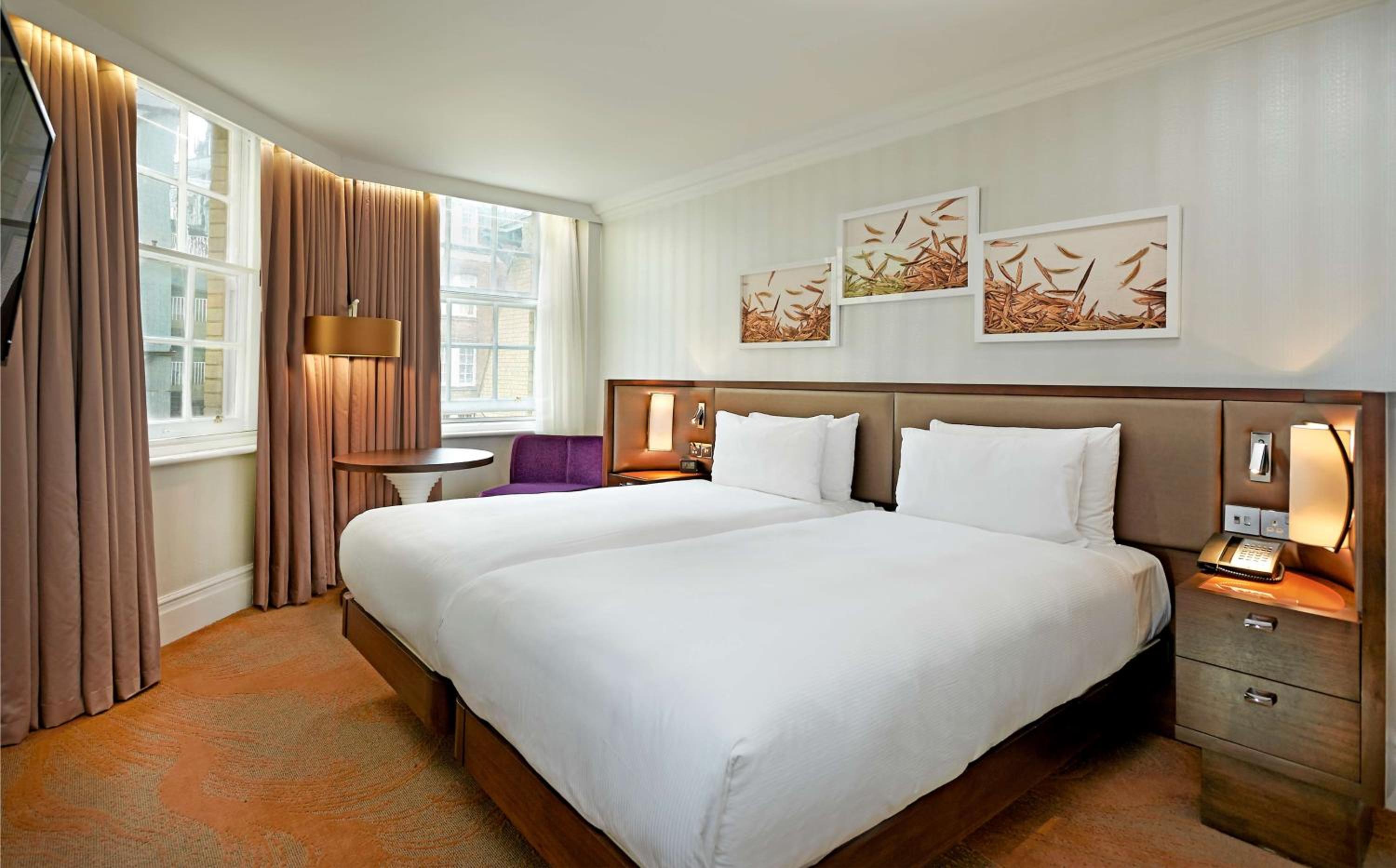 Deluxe King Room photo 3
