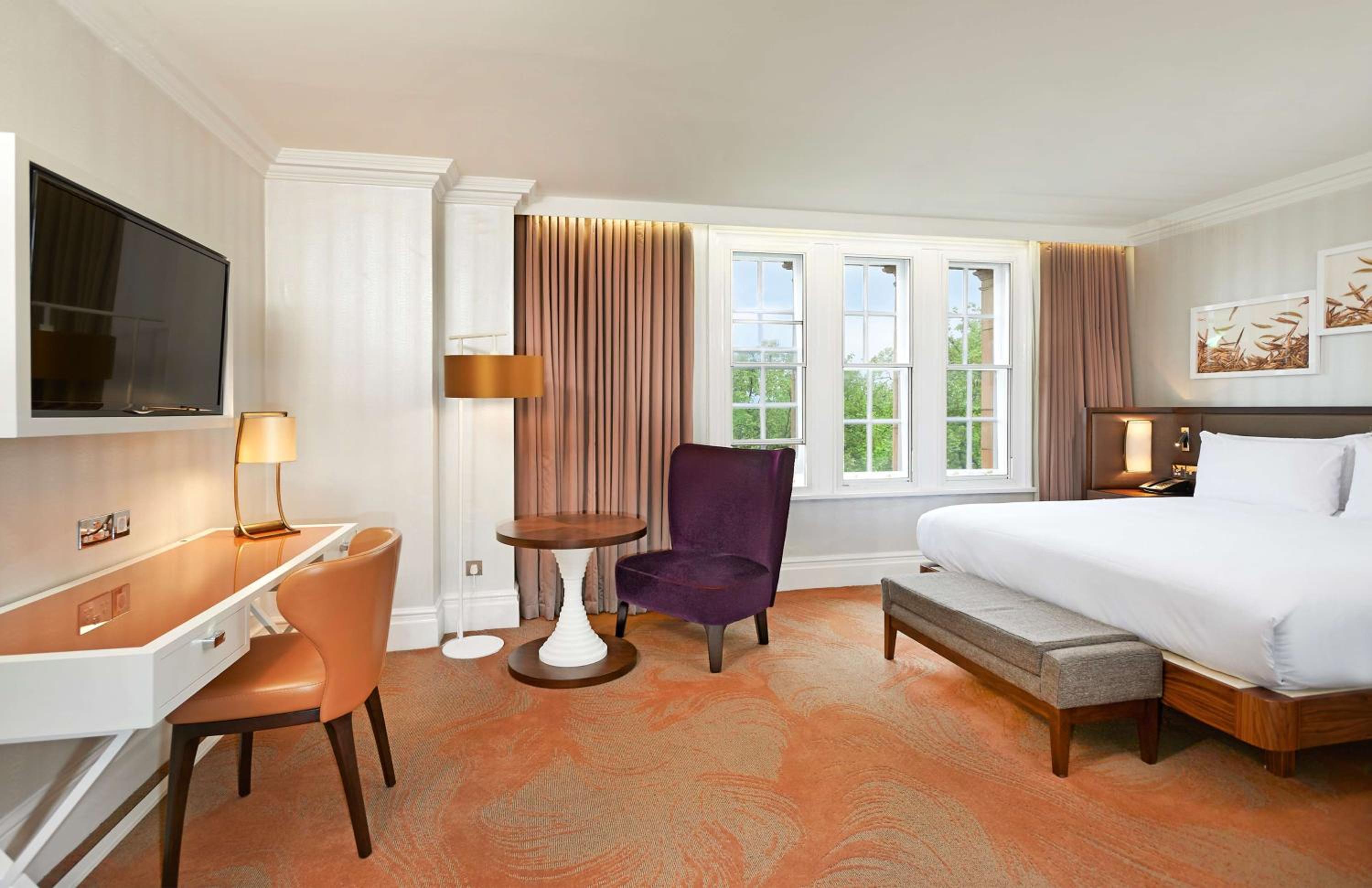 Deluxe King Room with View photo 1