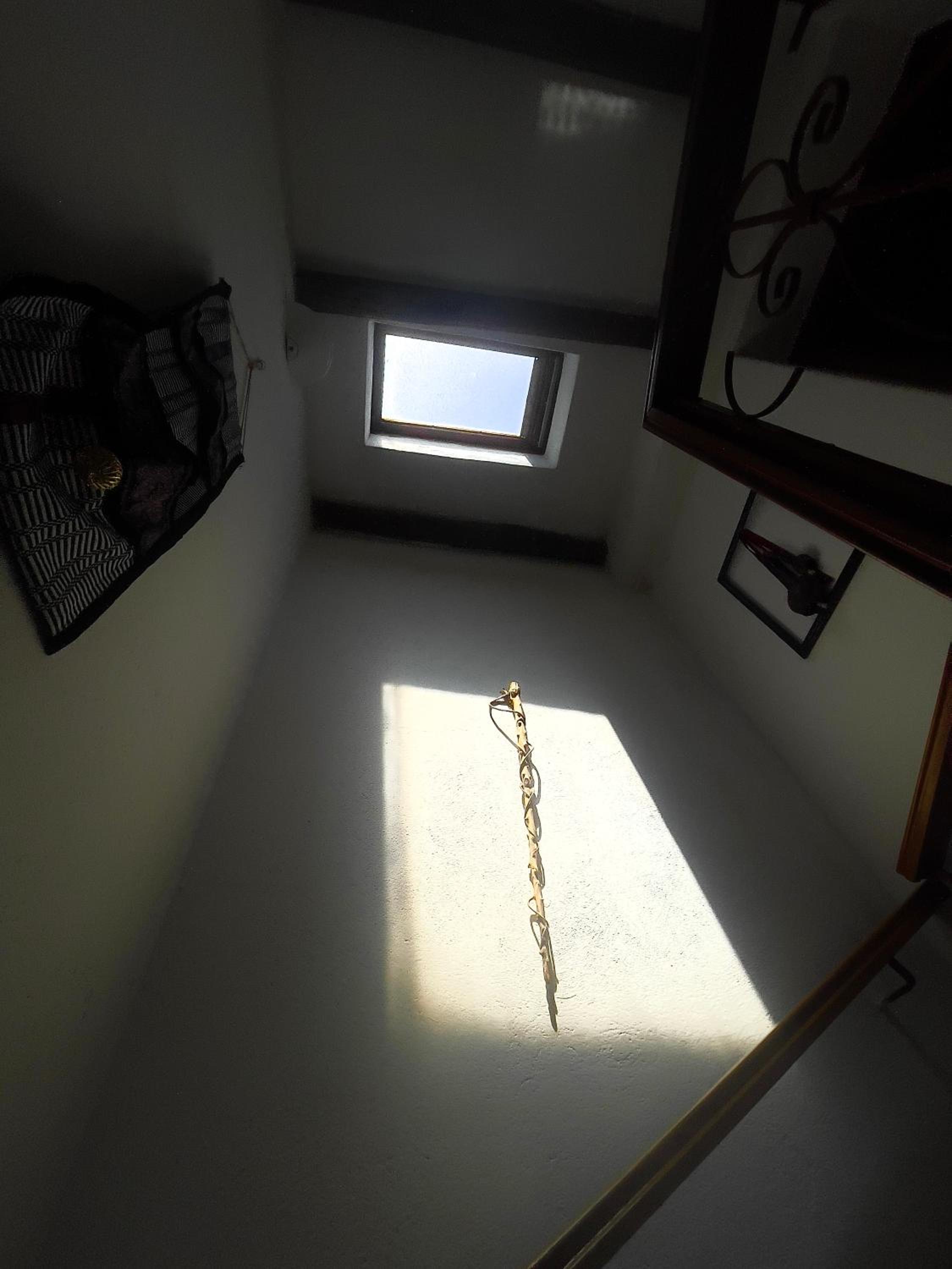 One-Bedroom House photo 3