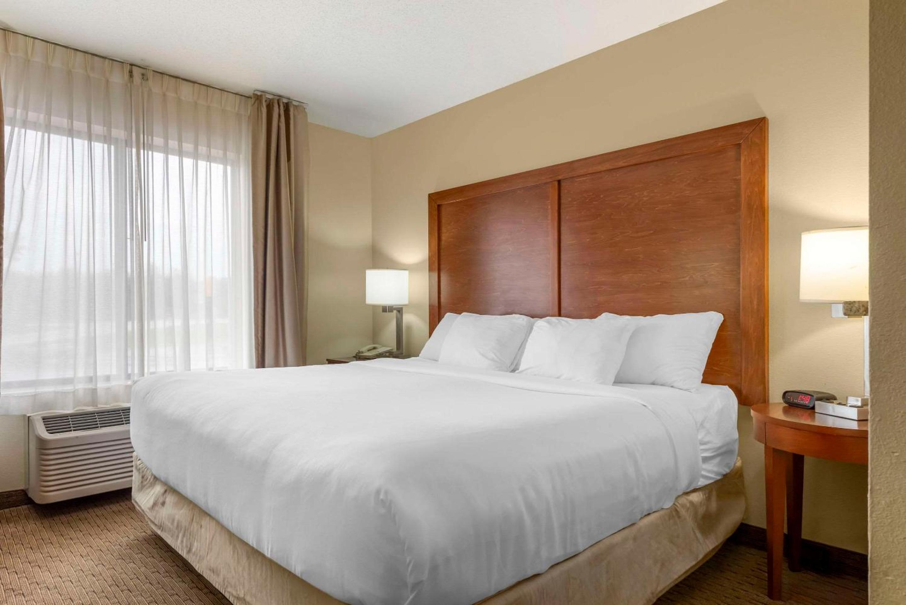 King Suite with Sofa Bed - Non-Smoking - Photo 3