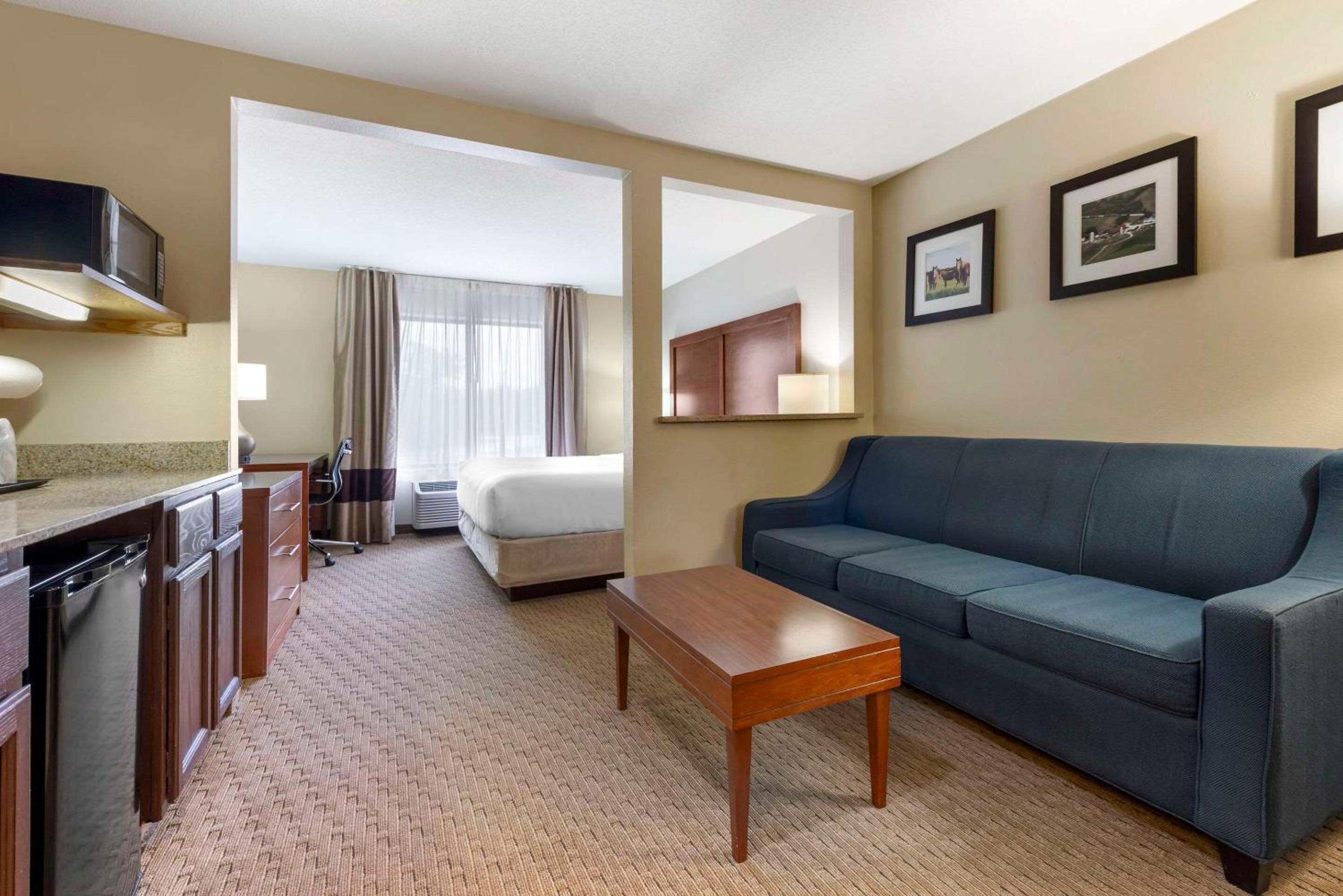King Suite with Sofa Bed - Non-Smoking - Photo 1
