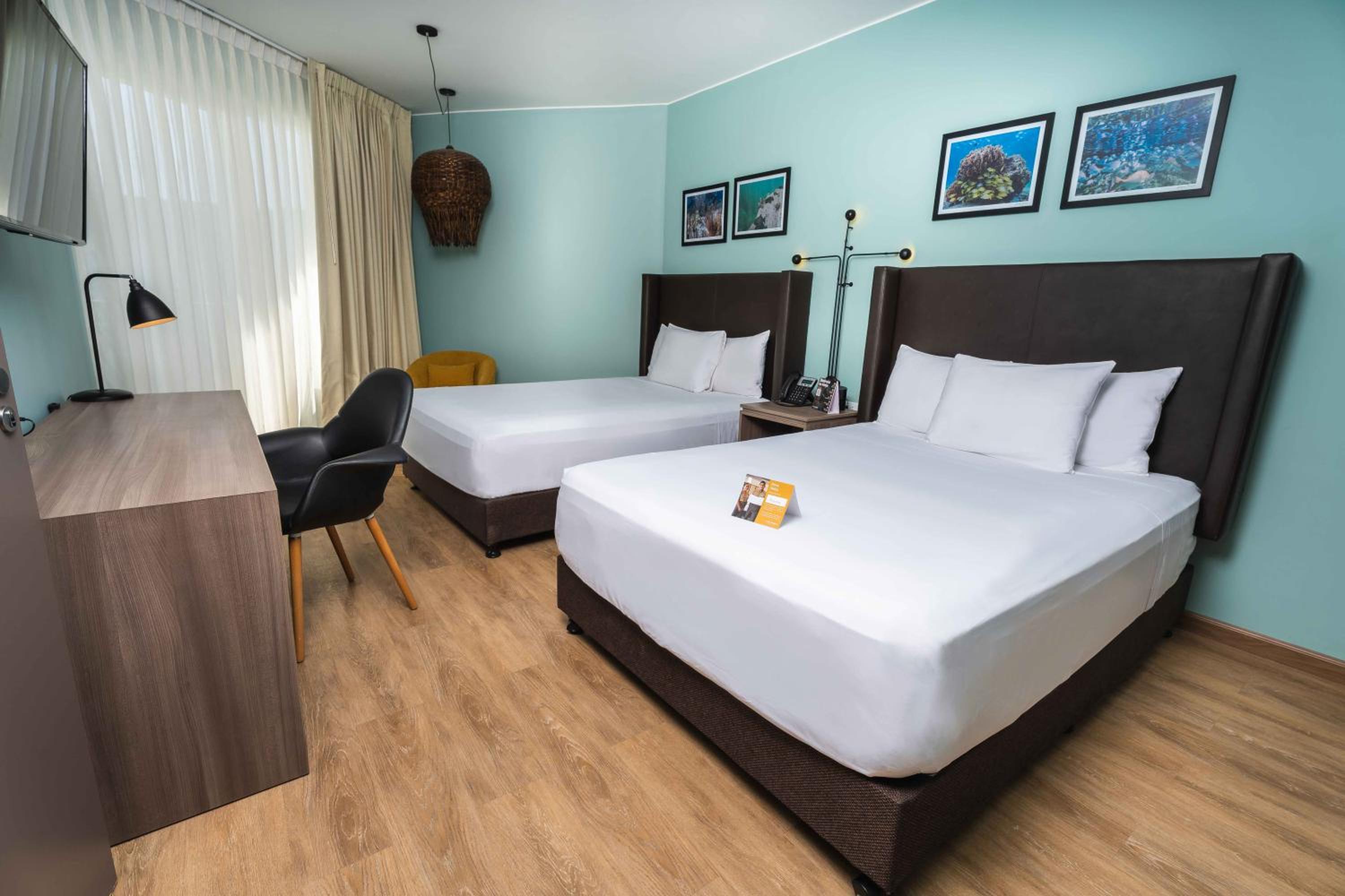 Suite - Photo 2