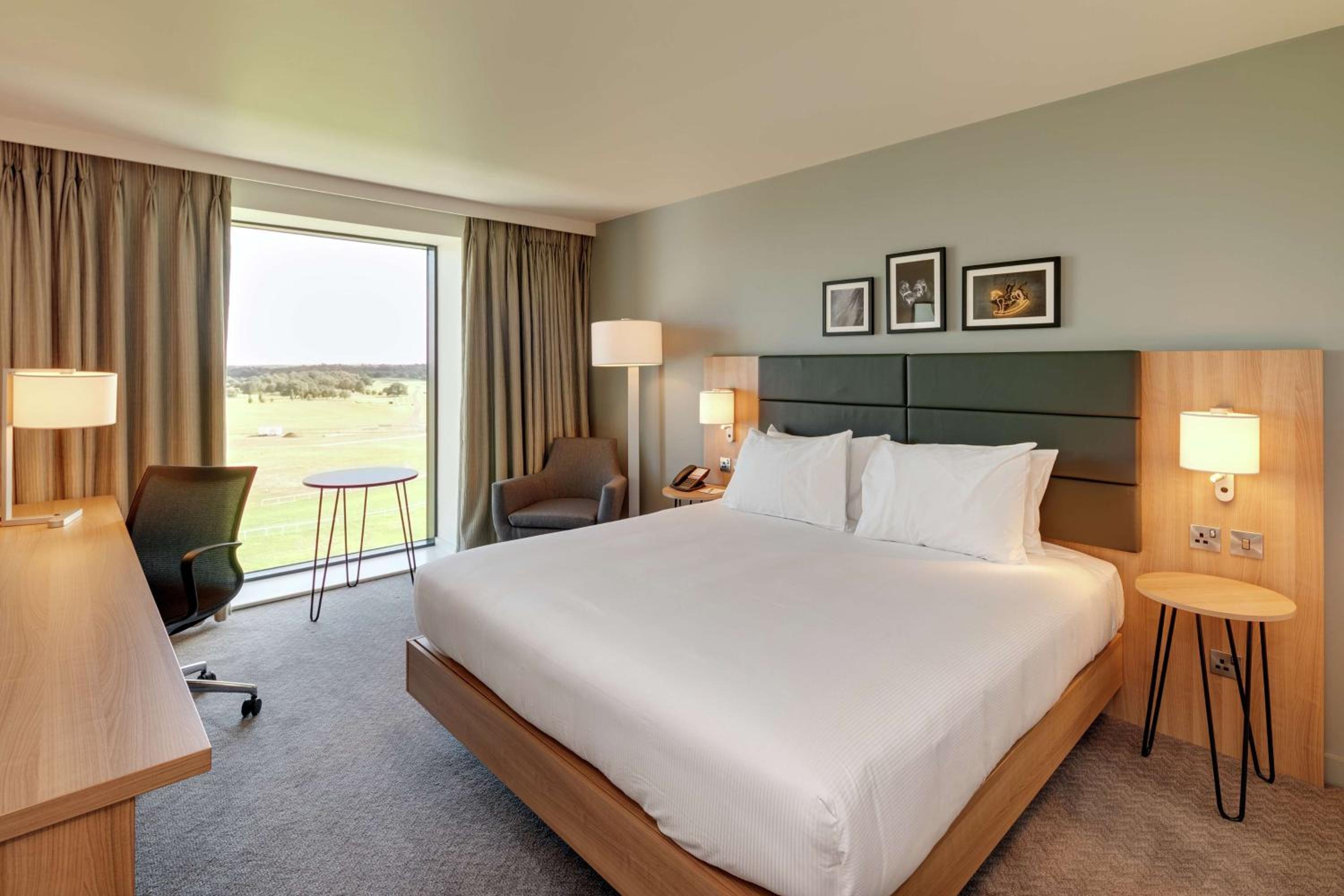King Room photo 3