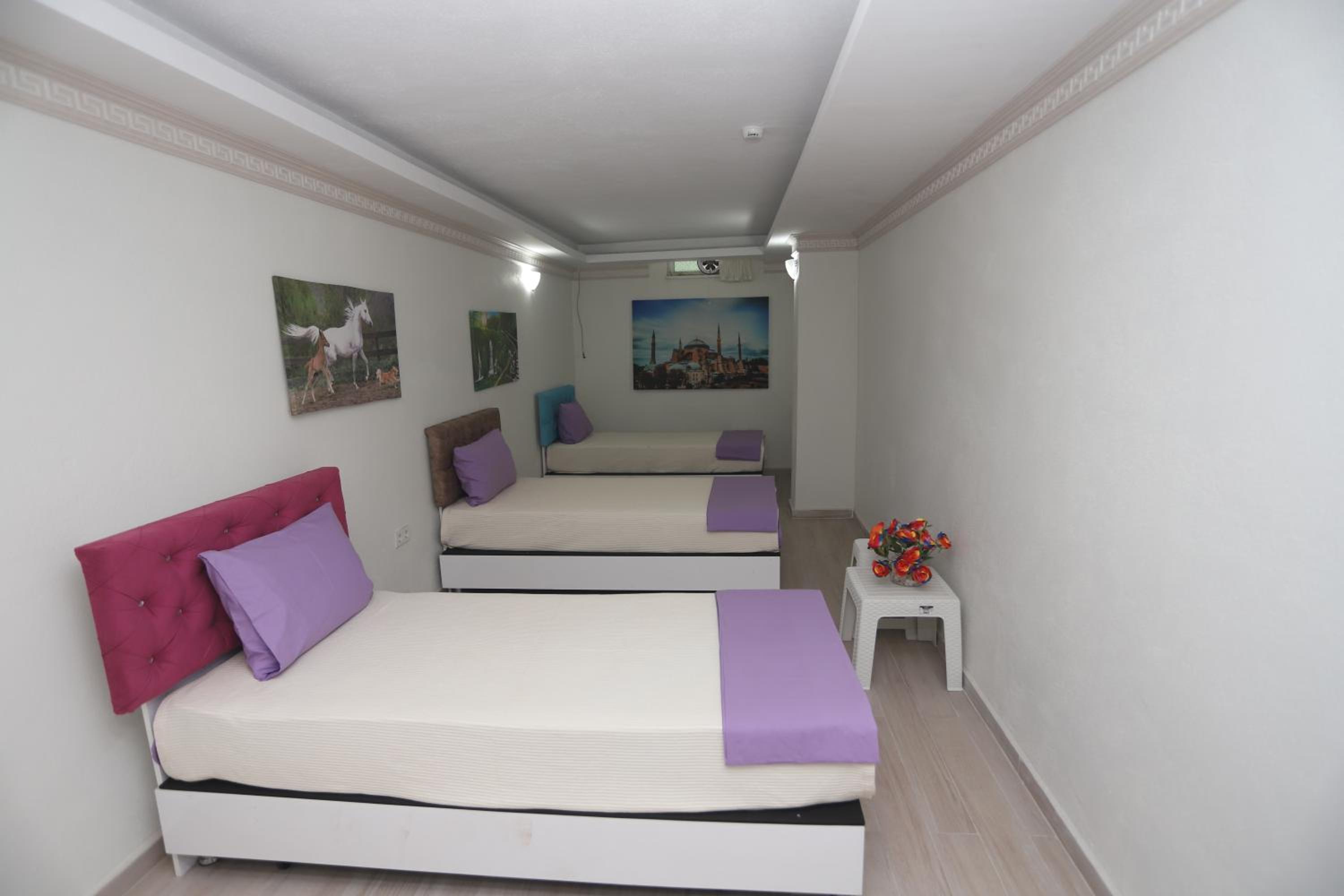Mixed Dormitory Room photo 3
