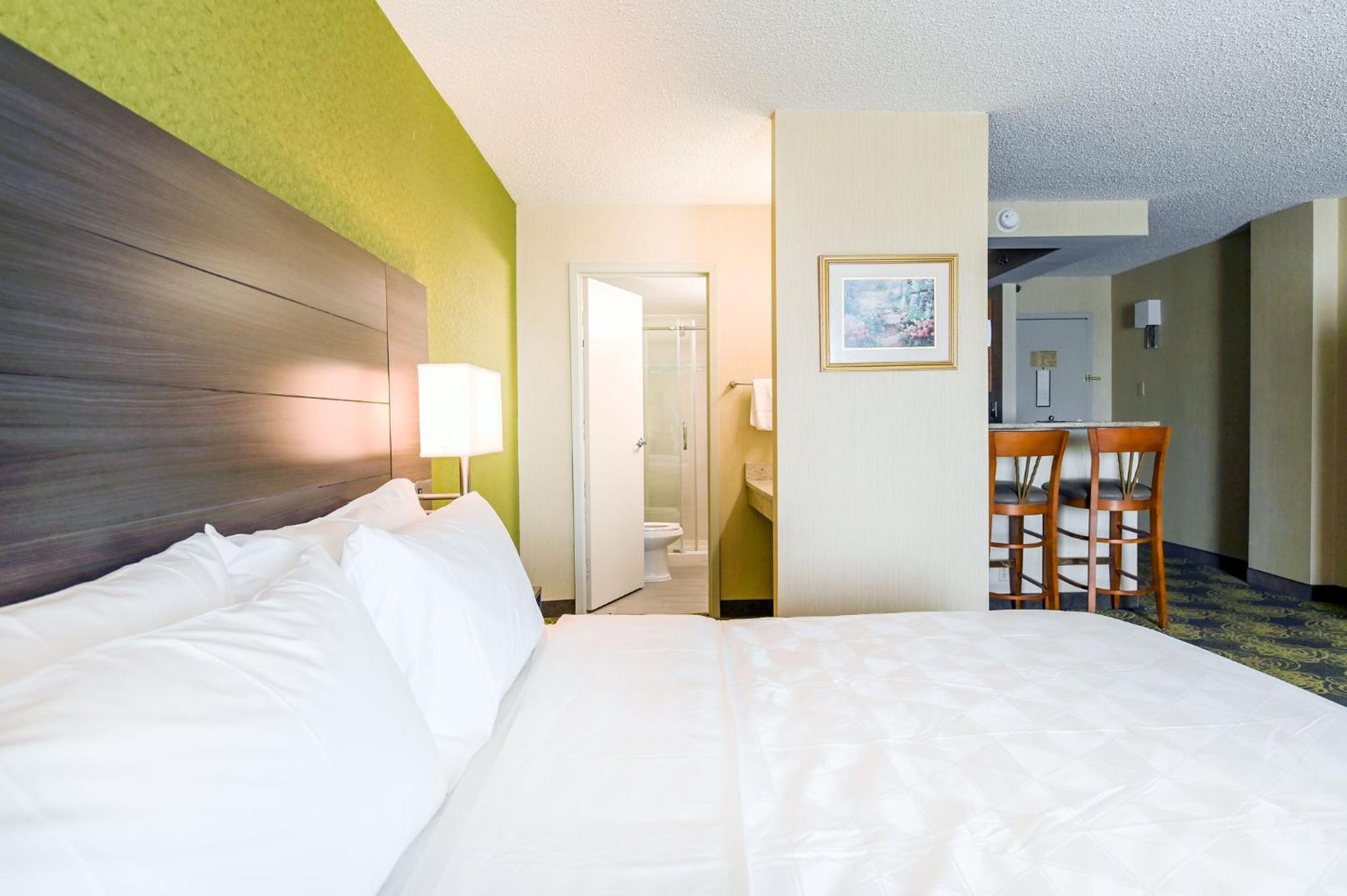King Suite with Walk-In Shower - Photo 1