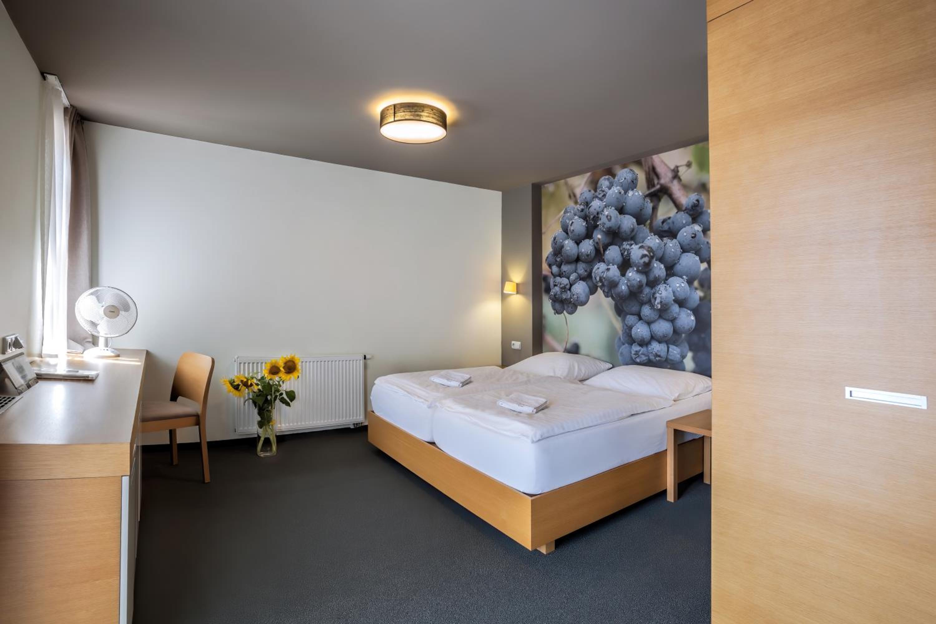 Suite - Photo 4