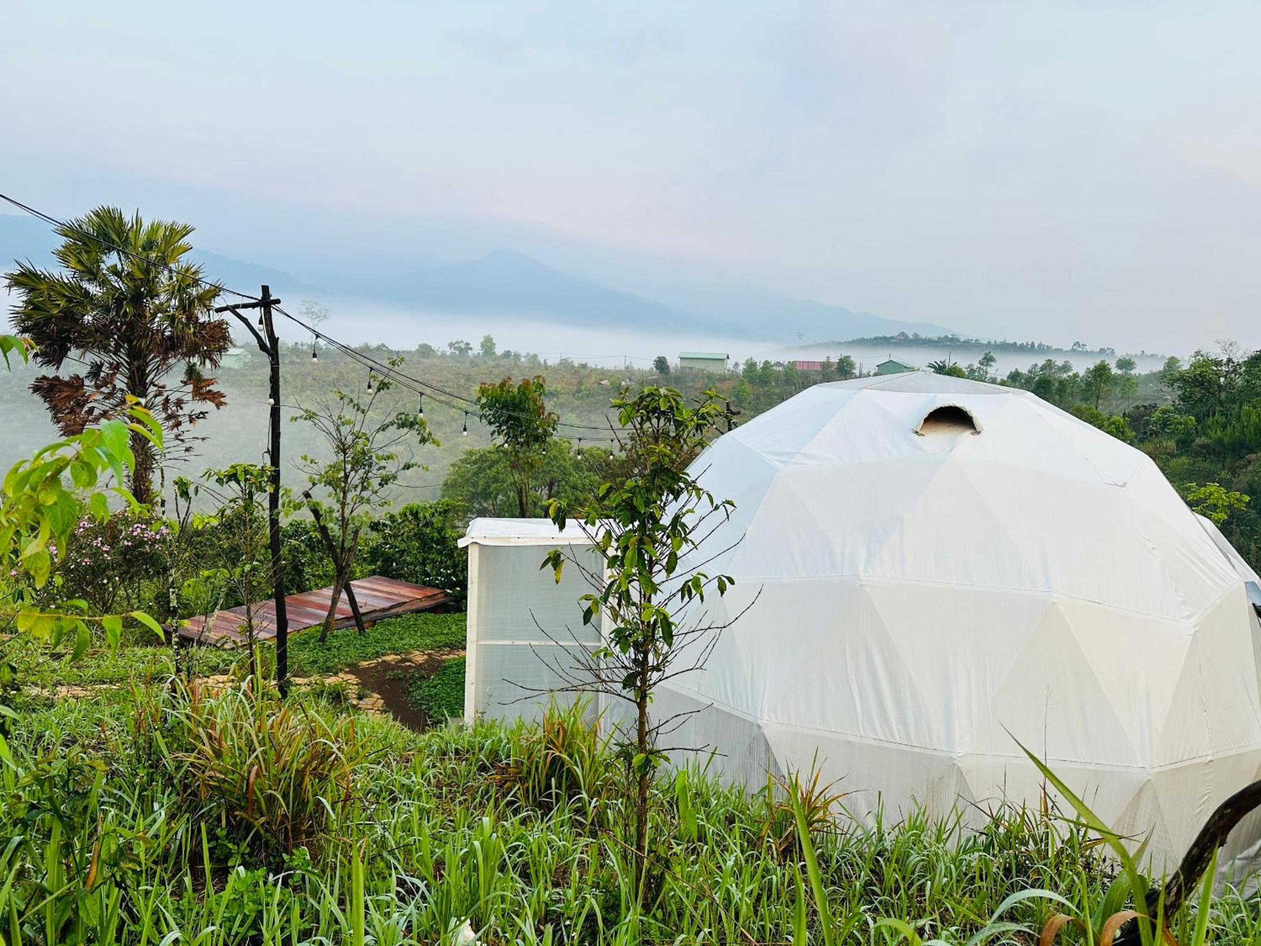 Tent photo 3