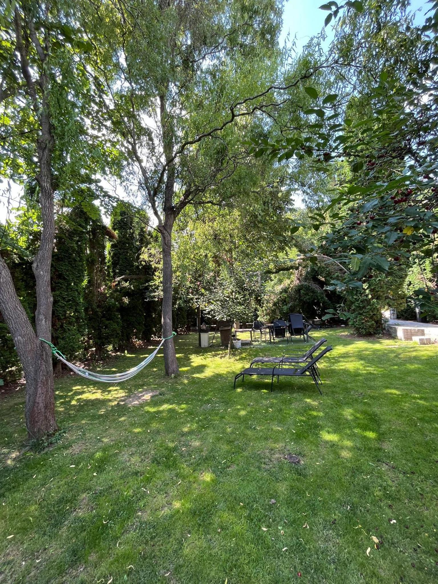 Standard Villa - Photo 15
