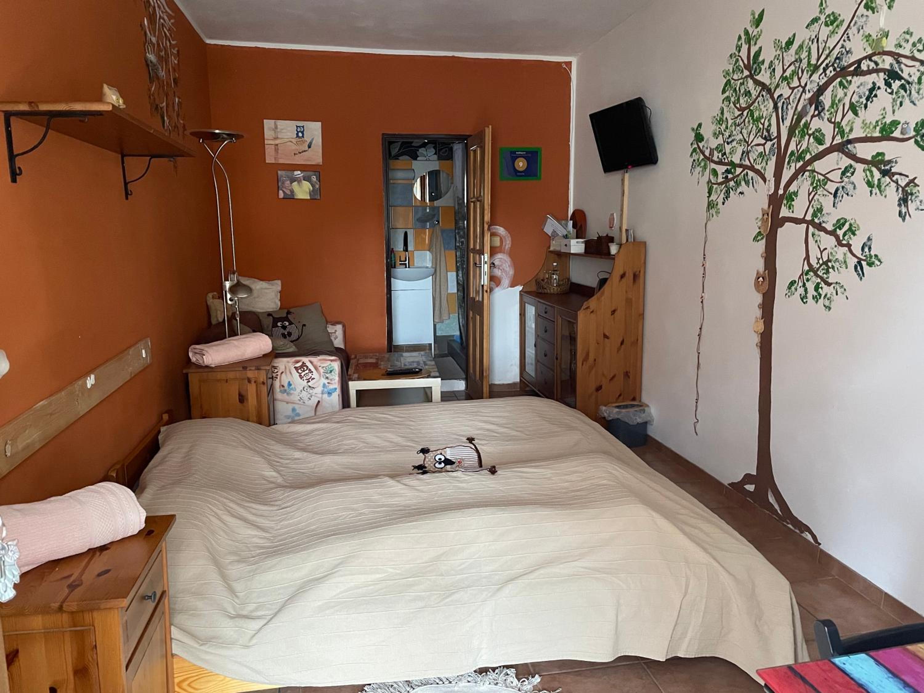 Twin Room photo 1